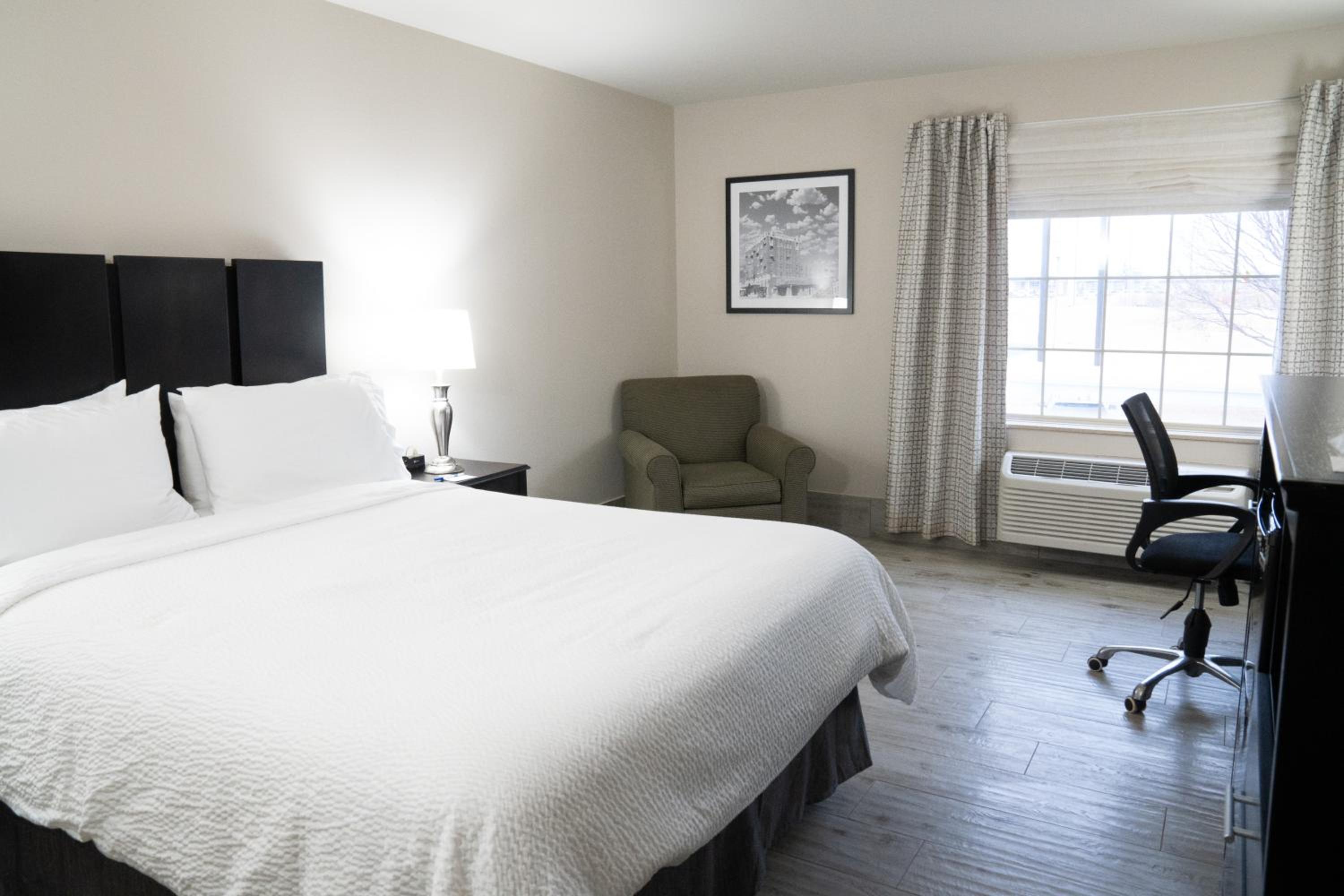 Standard King Room - Photo 6