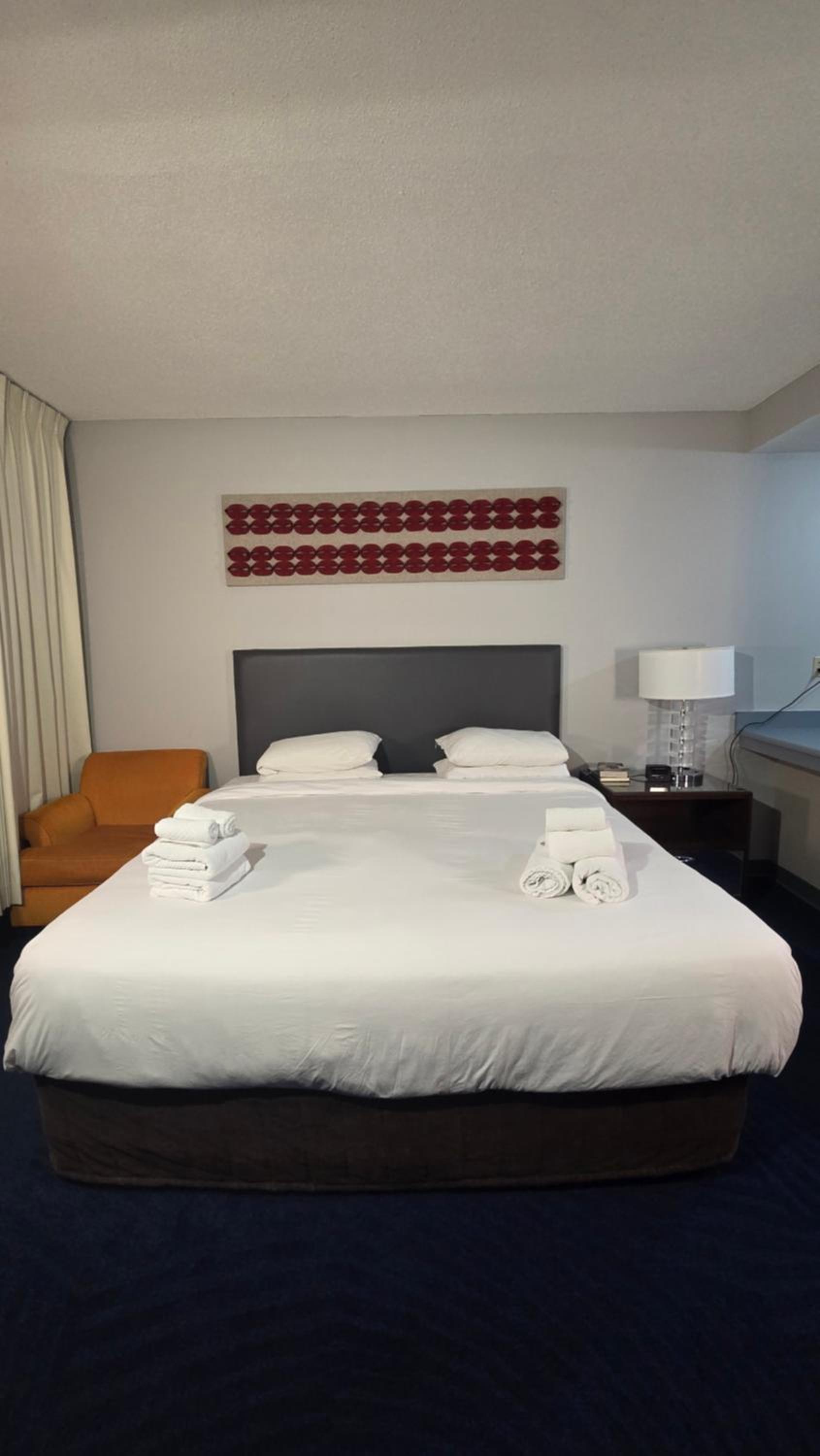 Deluxe King Suite photo 2
