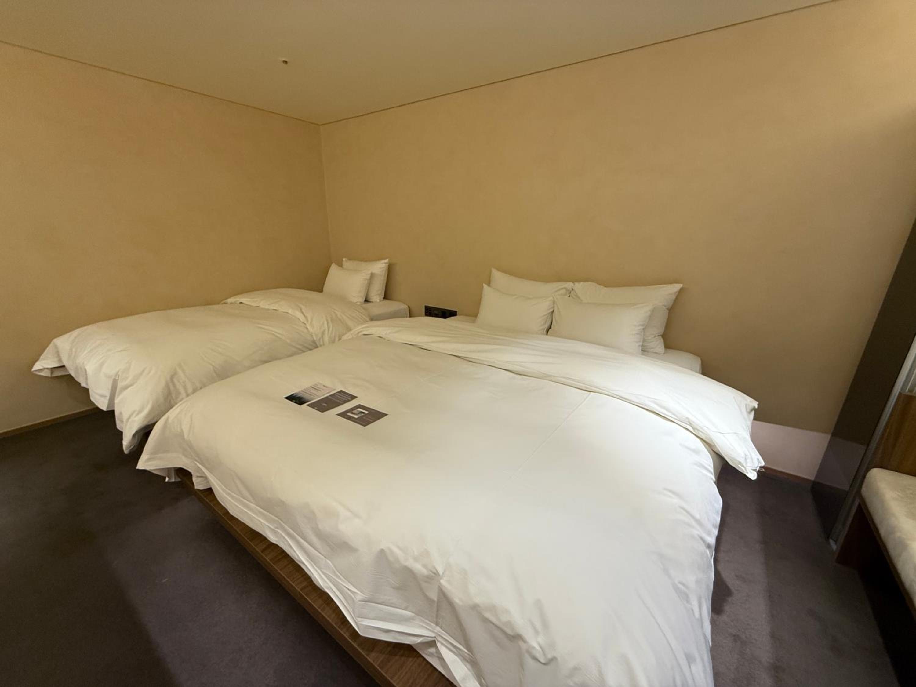 Deluxe Twin Room - Photo 5