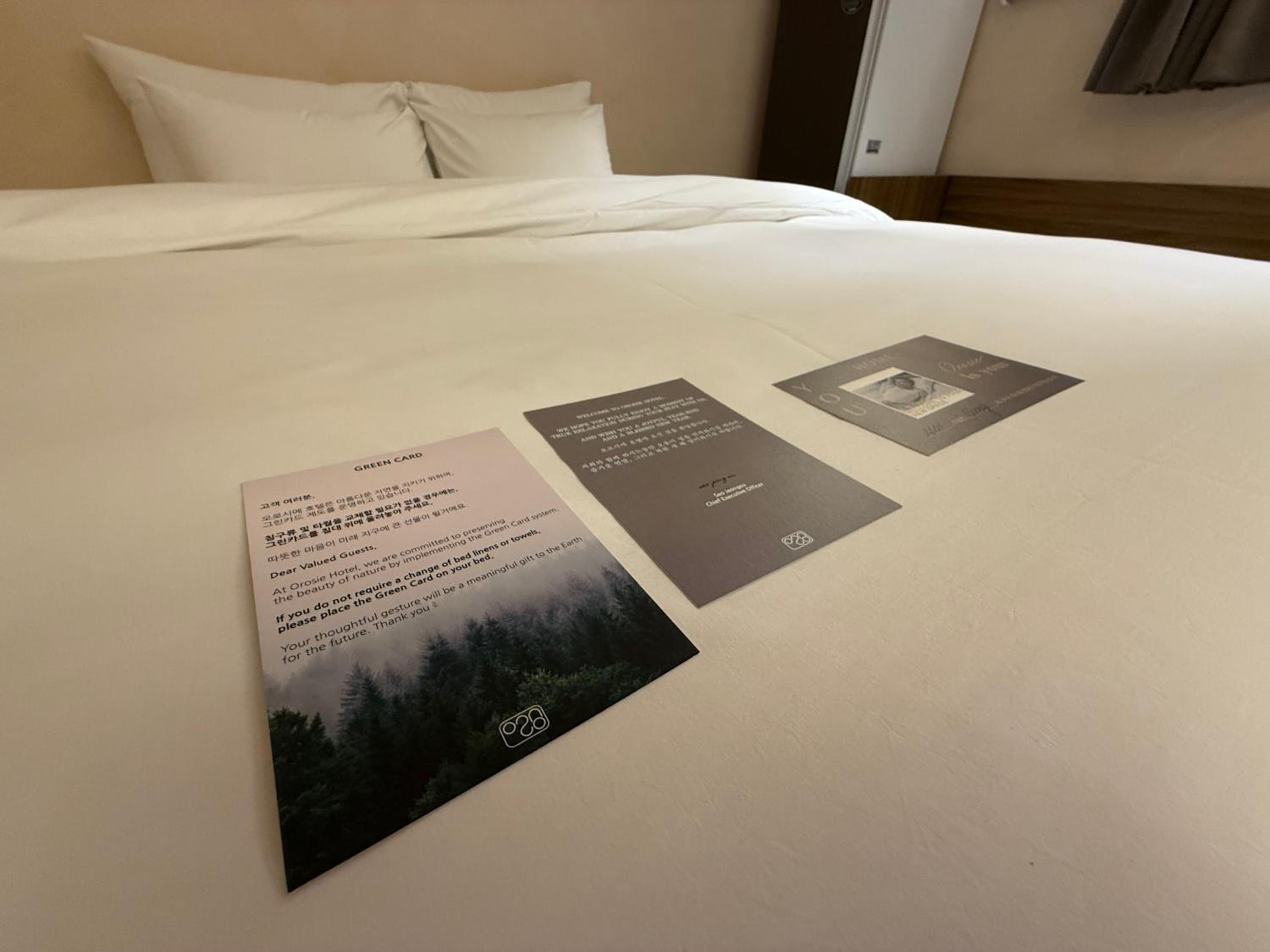 Deluxe Twin Room - Photo 1