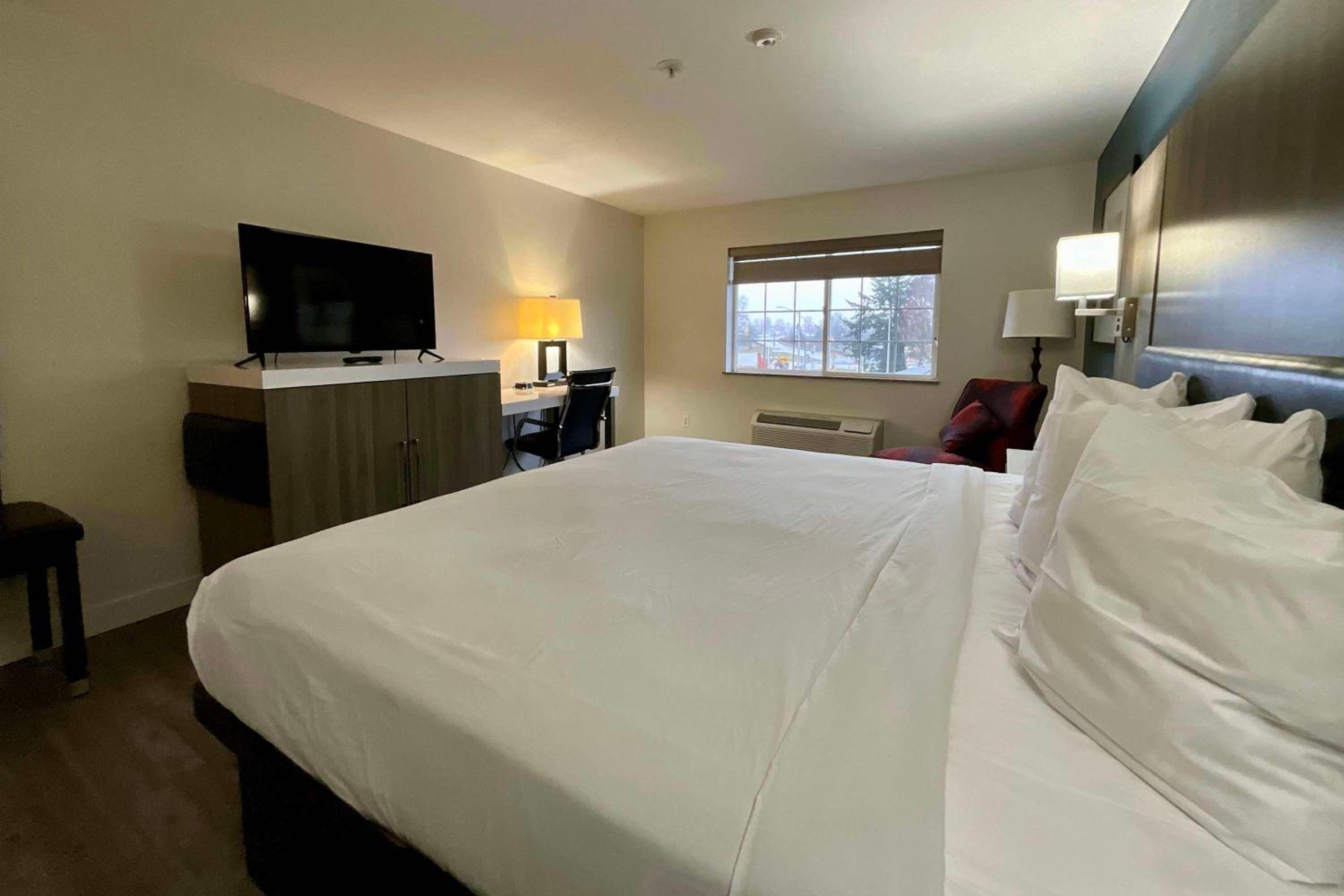 Deluxe King Suite - Non-Smoking - Photo 4