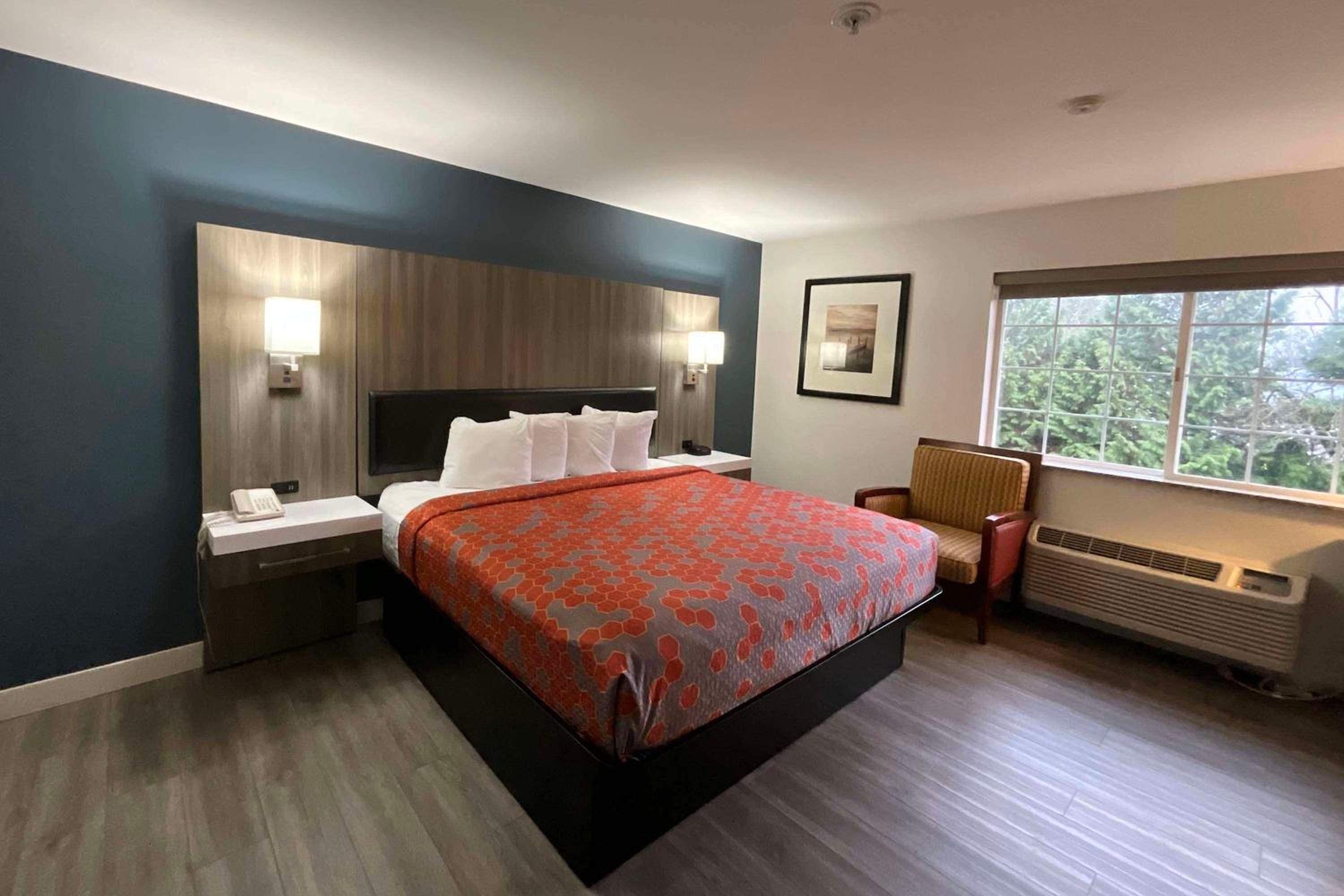 Deluxe King Suite - Non-Smoking - Photo 5