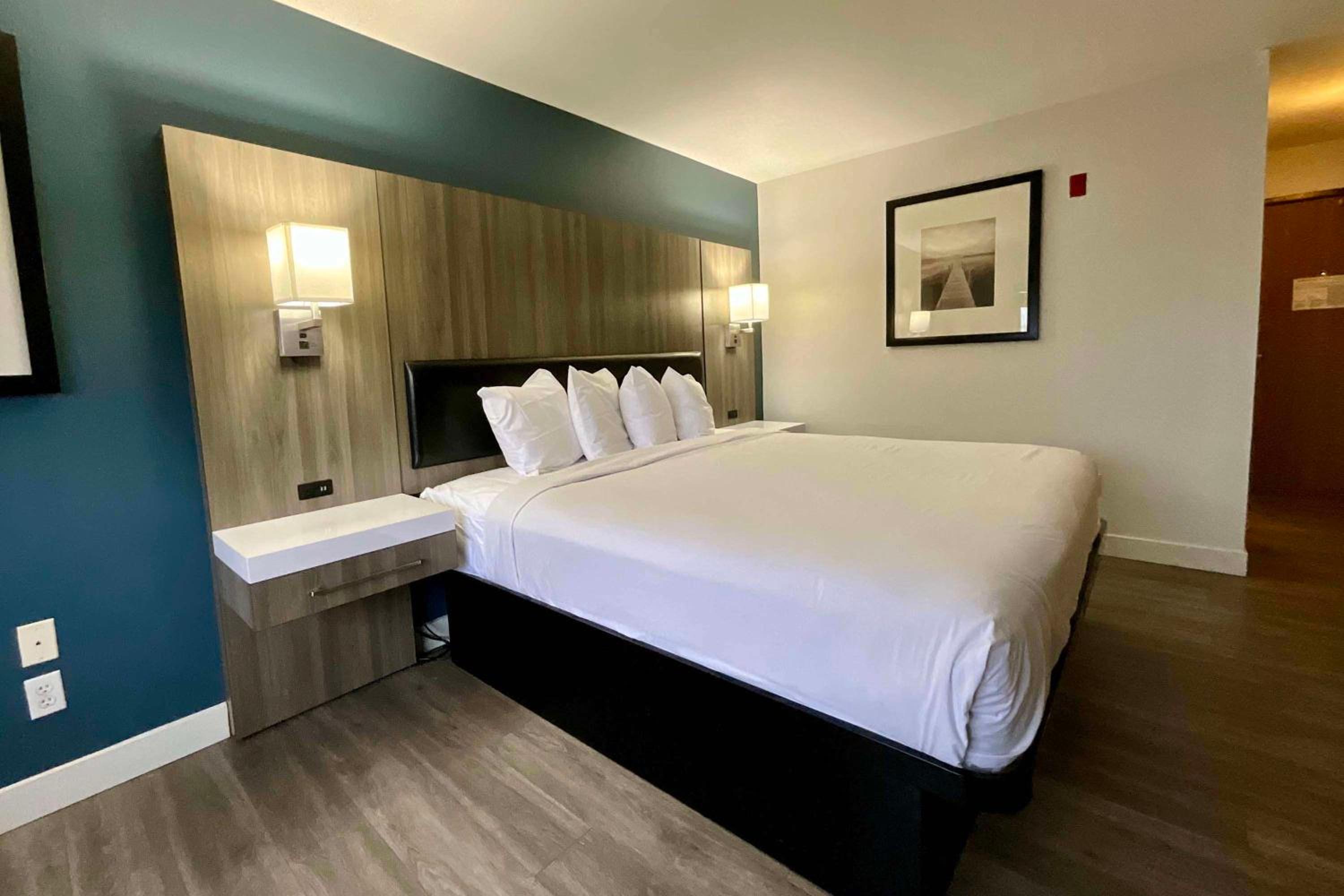 King Room - Non-Smoking - Photo 1