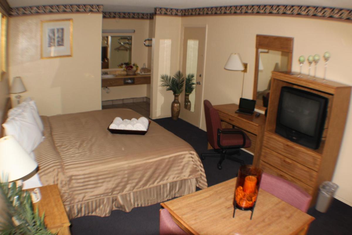 King Room photo 2