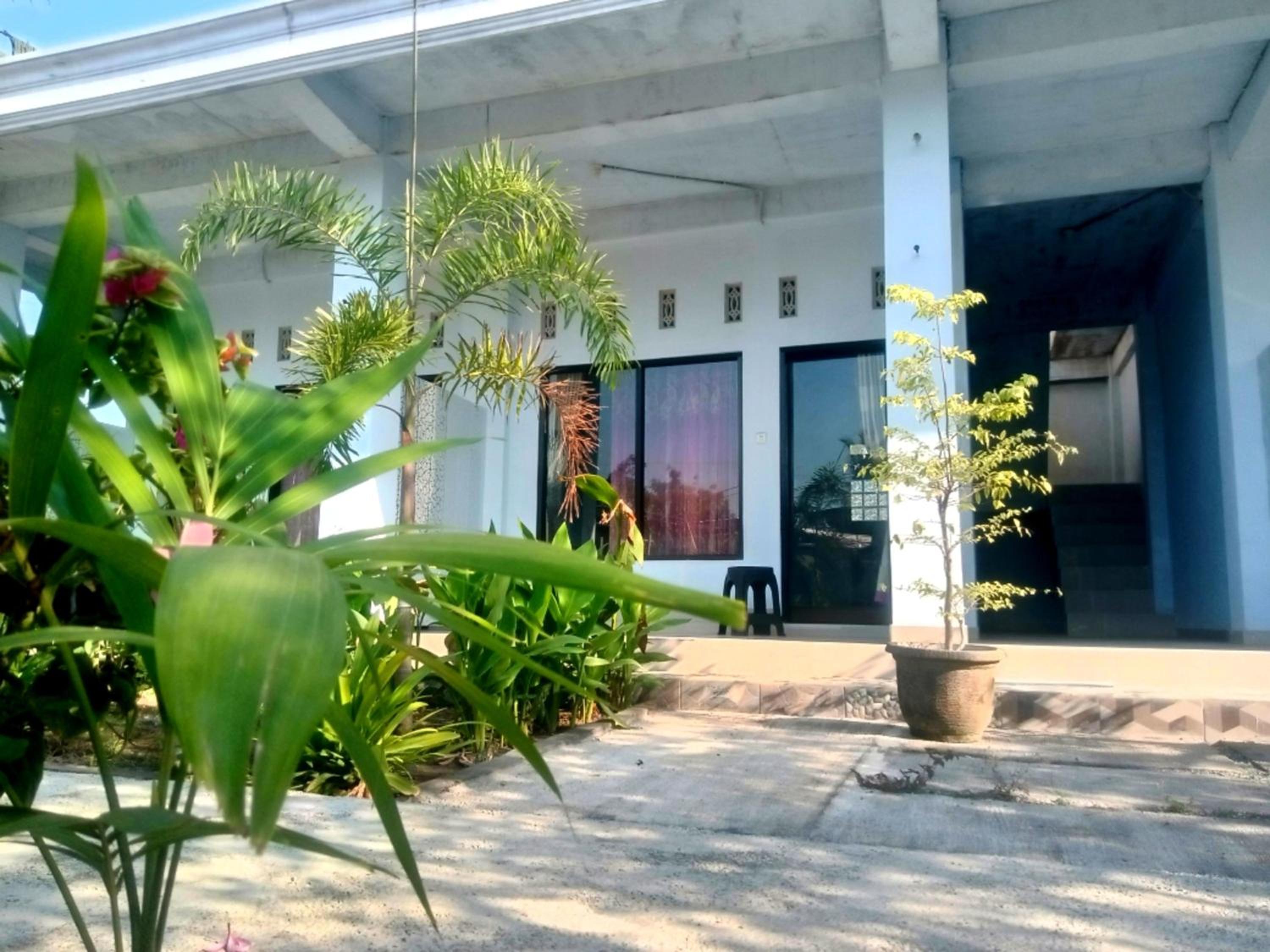 Double Room with Terrace photo 1