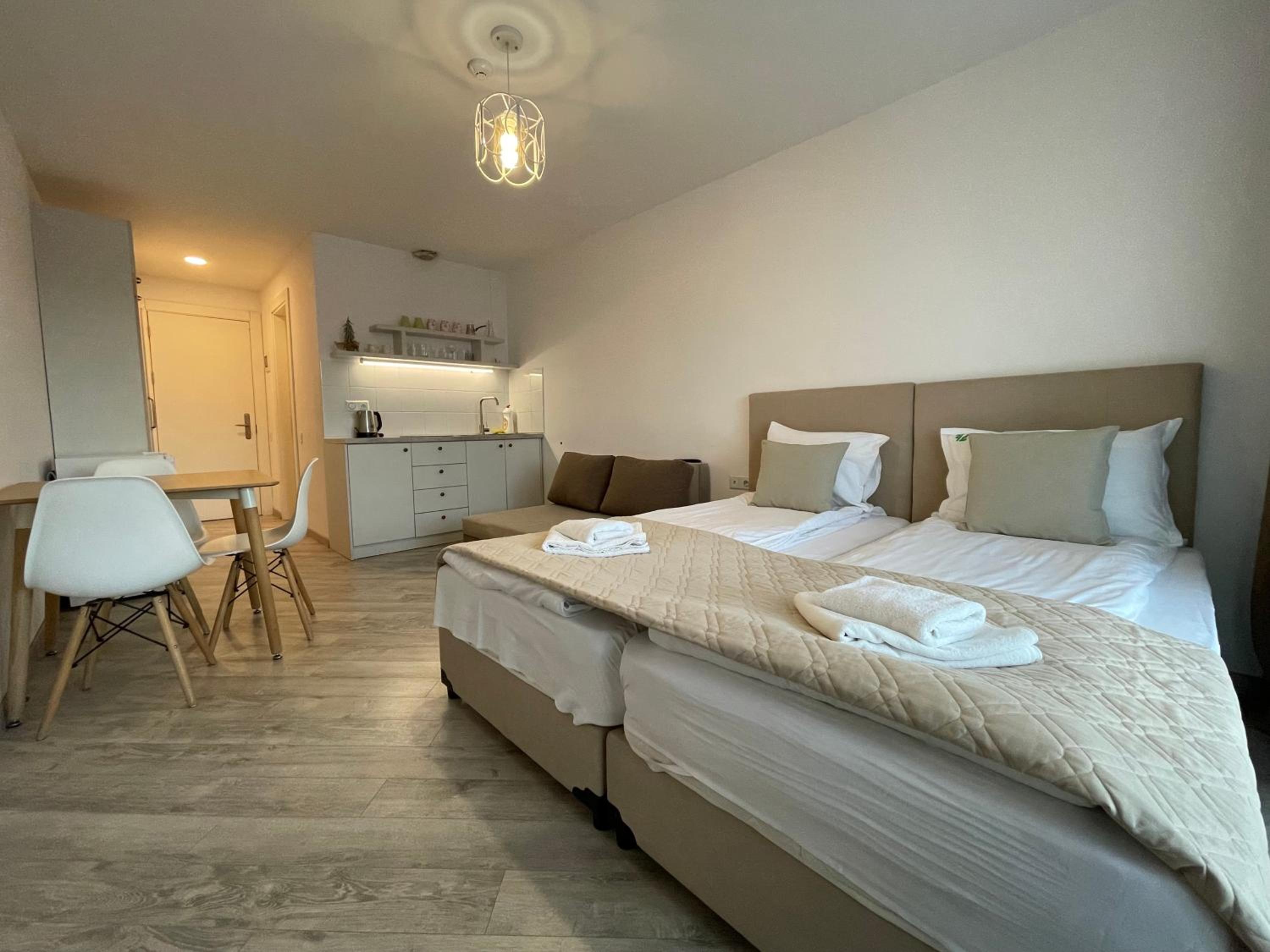 Studio Apartment with Balcony photo 3