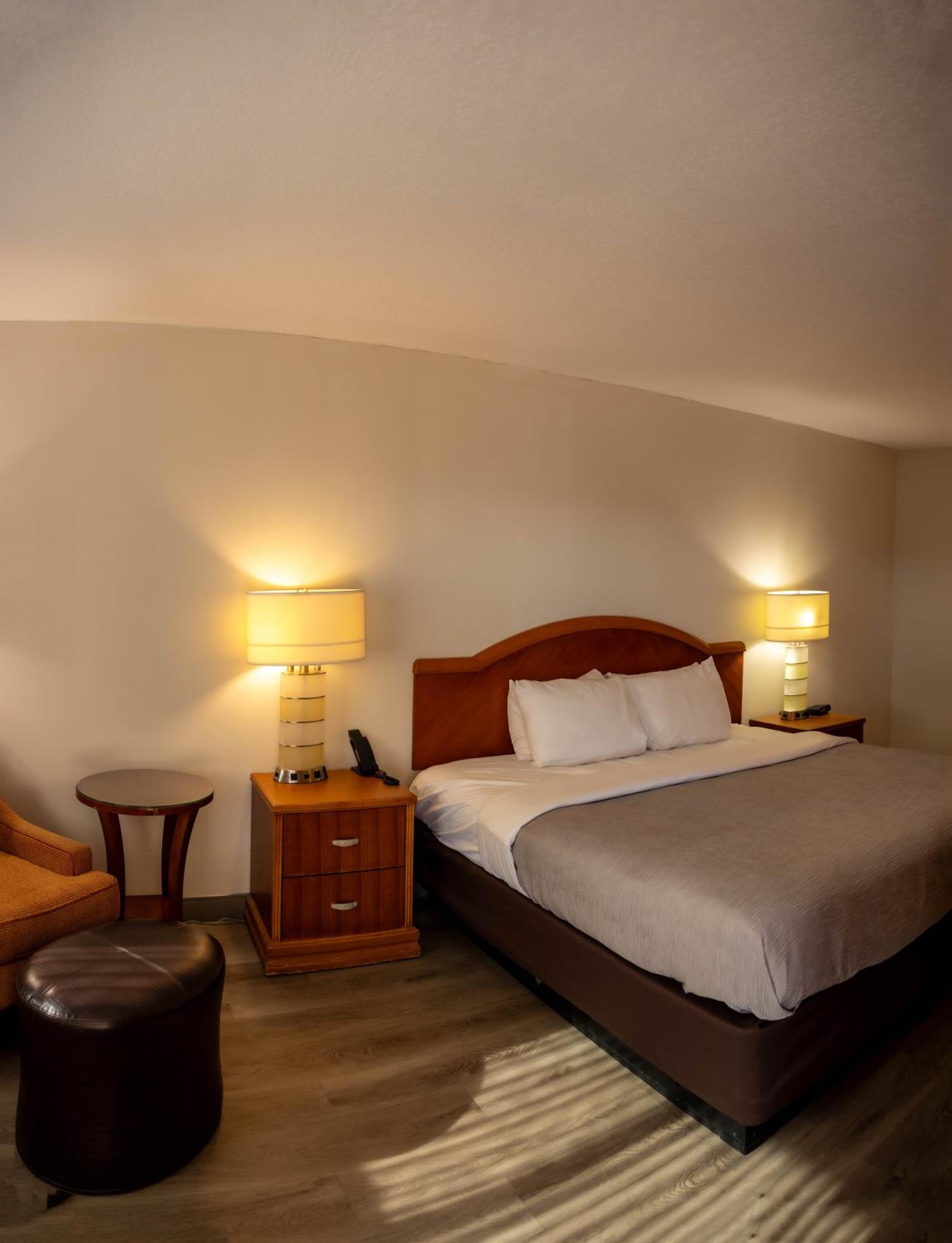 Superior King Suite - Non-Smoking - Photo 4