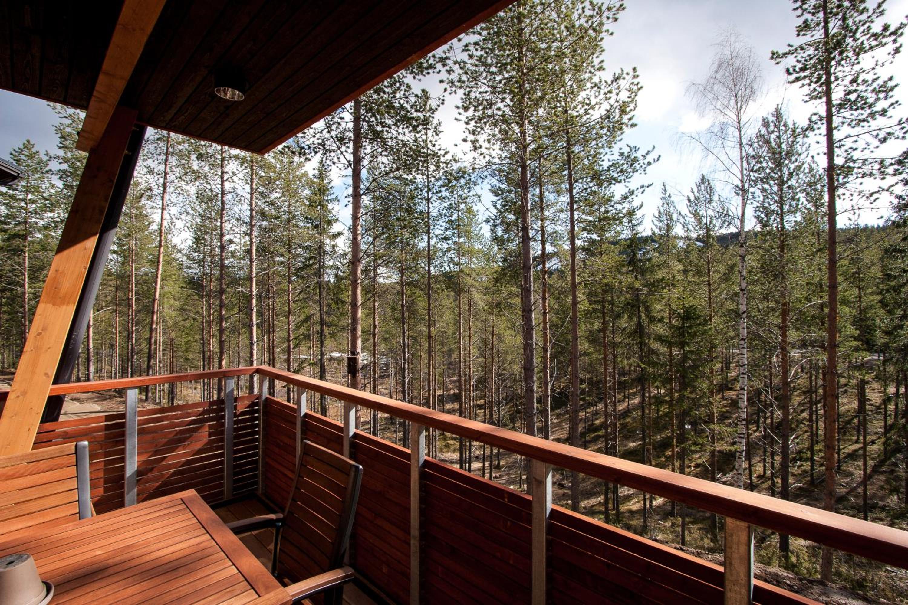 Four-Bedroom Apartment with Sauna - No Pets photo 3