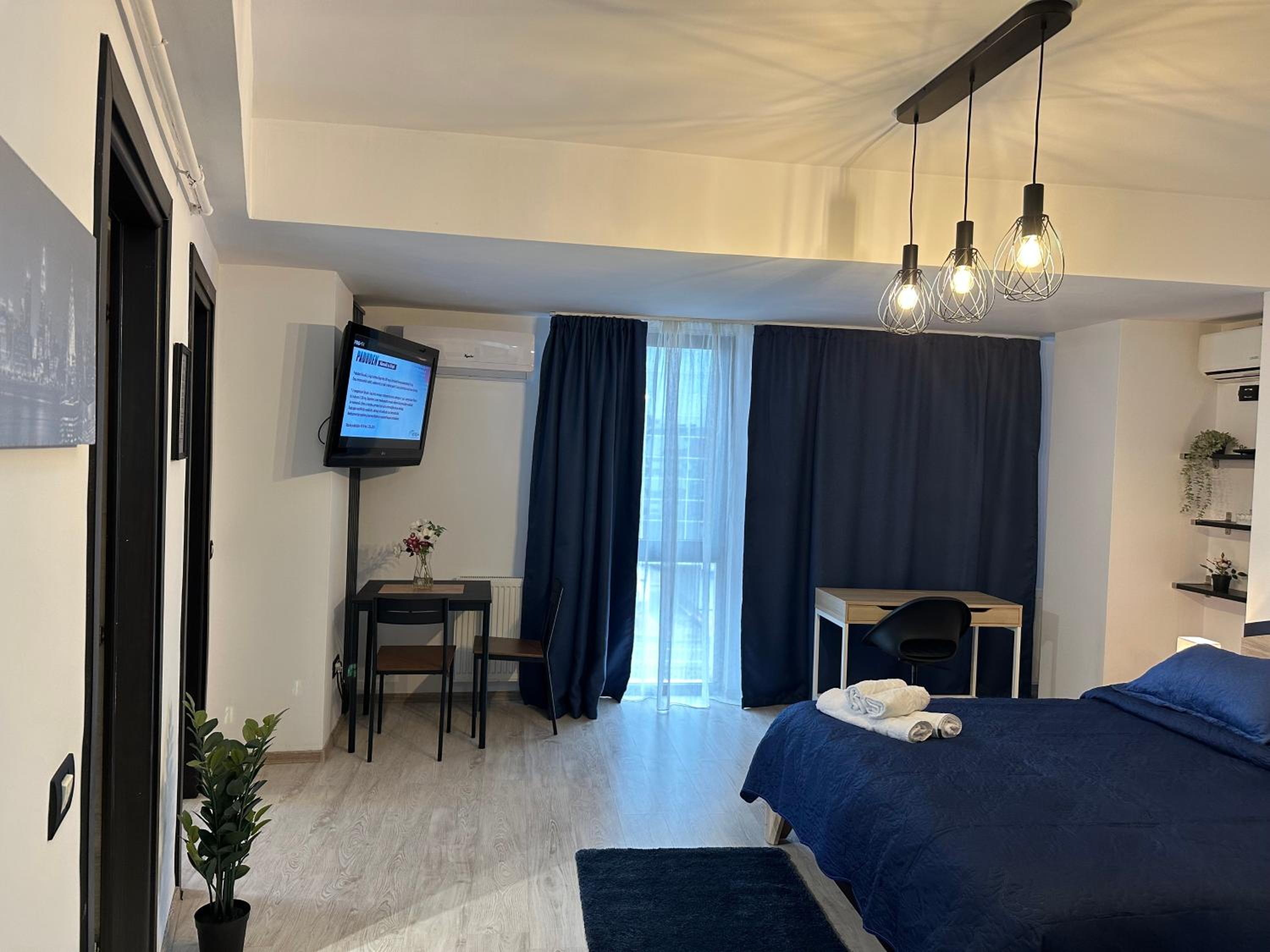 One-Bedroom Deluxe Apartment - Photo 3