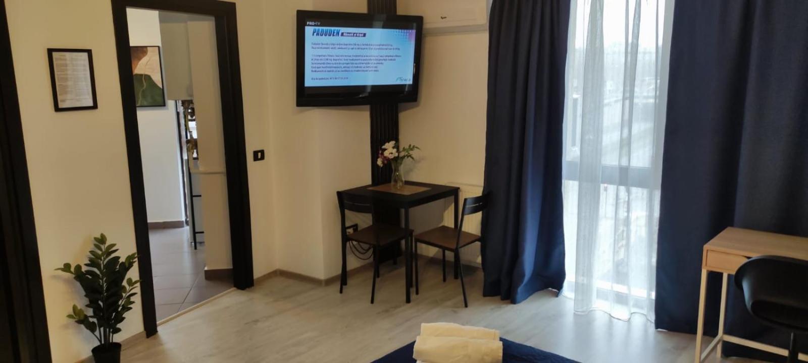 One-Bedroom Deluxe Apartment - Photo 18