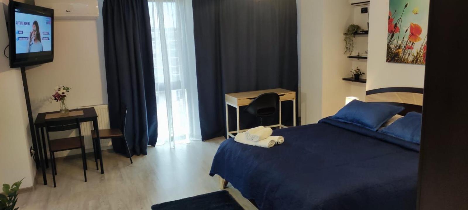 One-Bedroom Deluxe Apartment - Photo 19