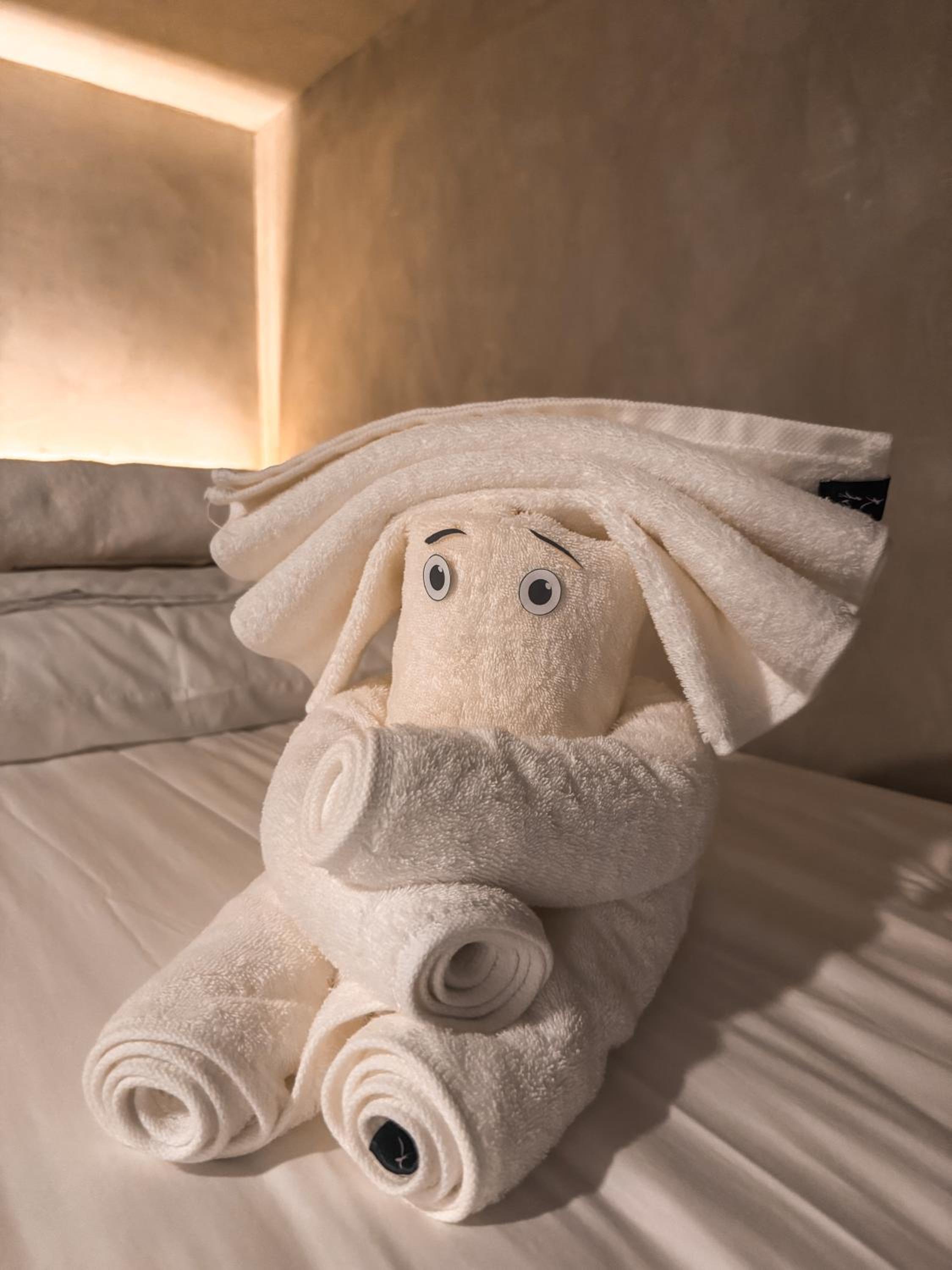 Family Suite - Photo 6
