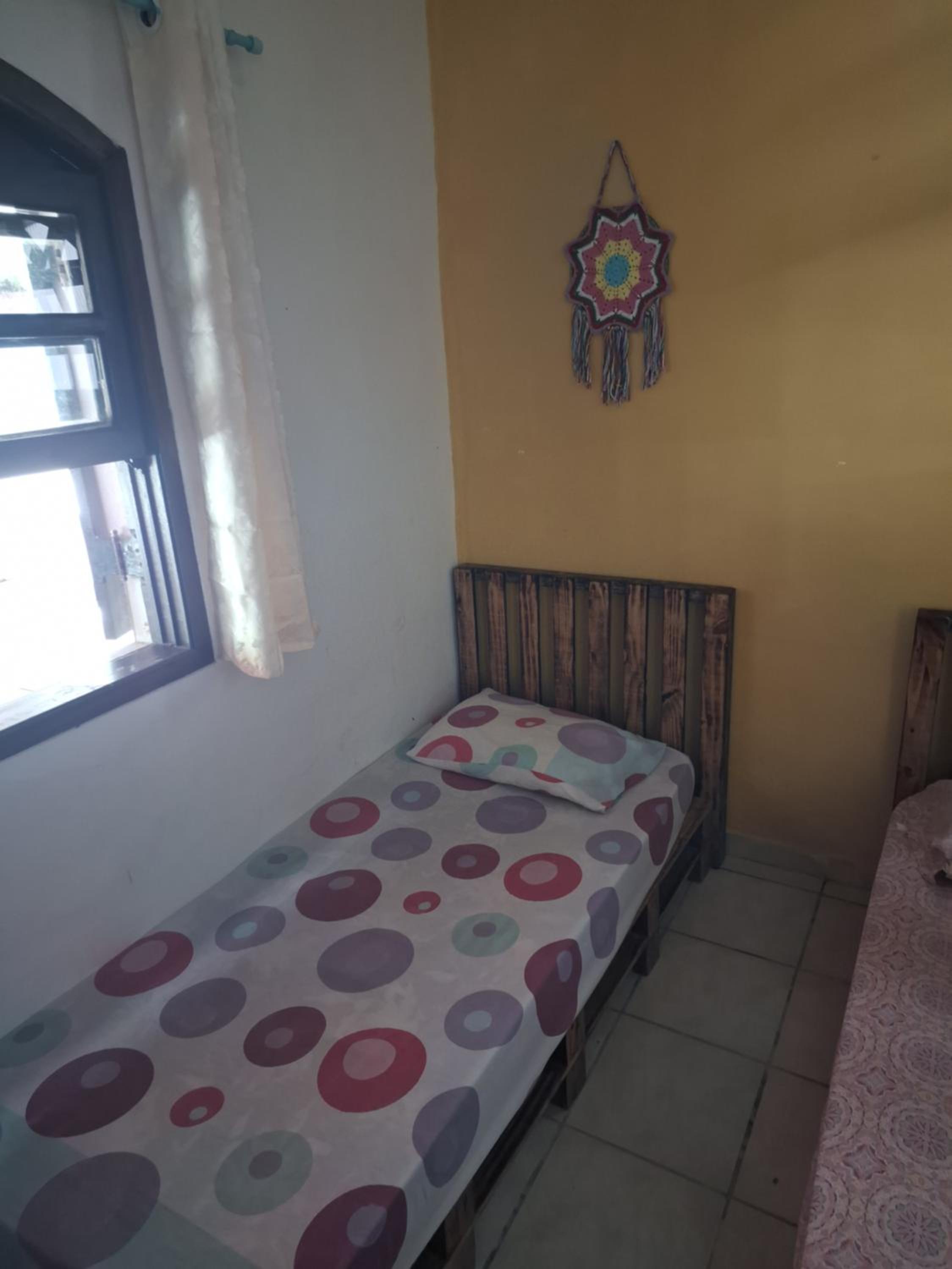 Single Bed in Mixed Dormitory Room photo 1