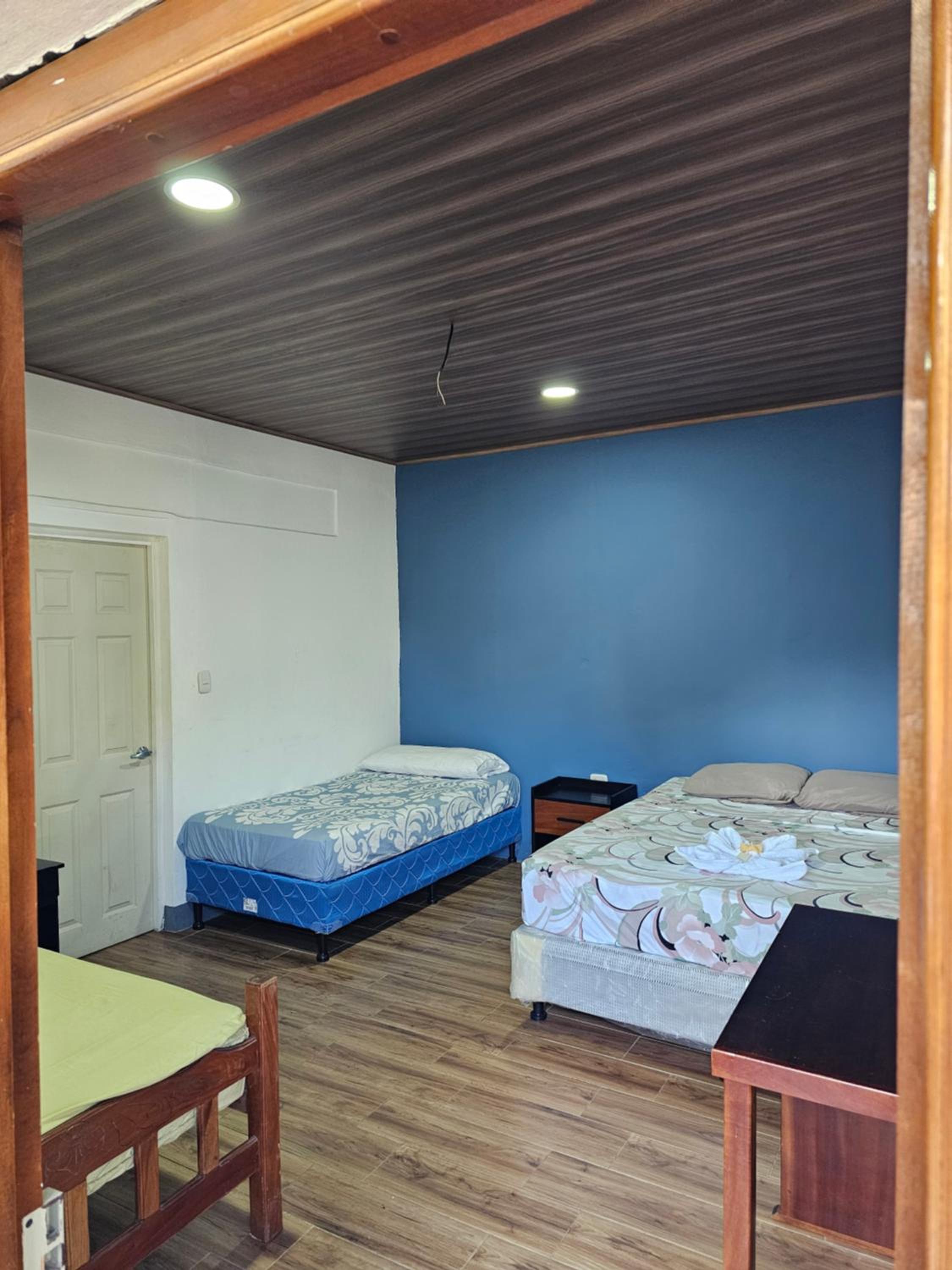 Standard Twin Room photo 2