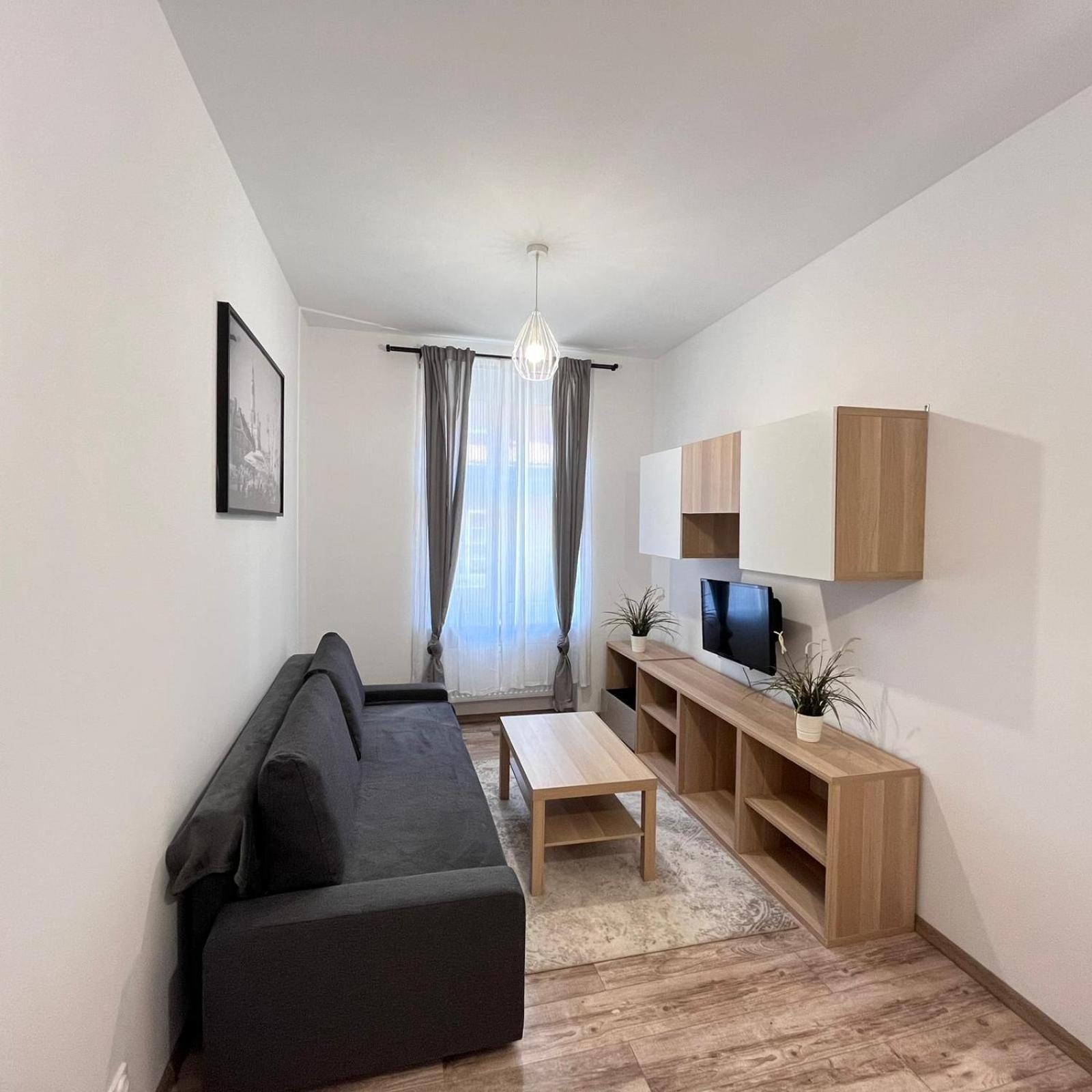 One-Bedroom Family Apartment