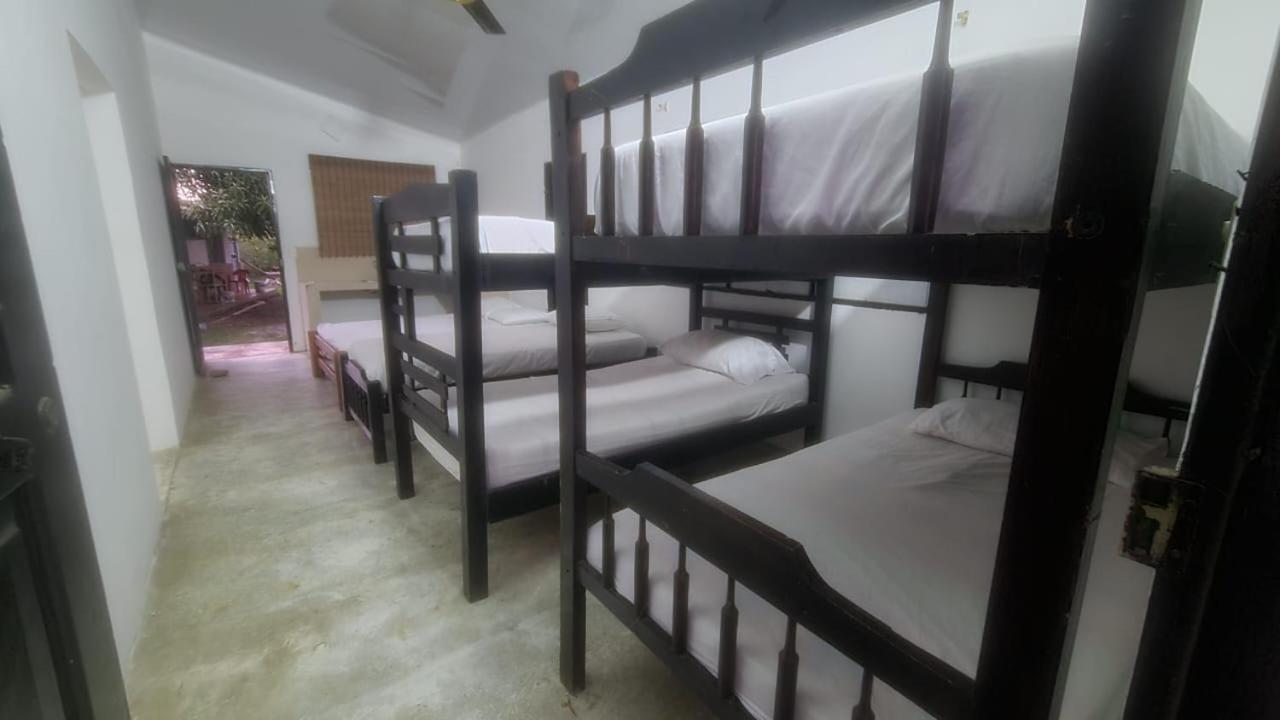 Comfort Quadruple Room photo 1