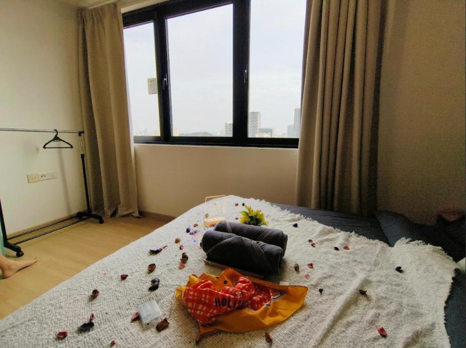 Deluxe One-Bedroom Apartment
