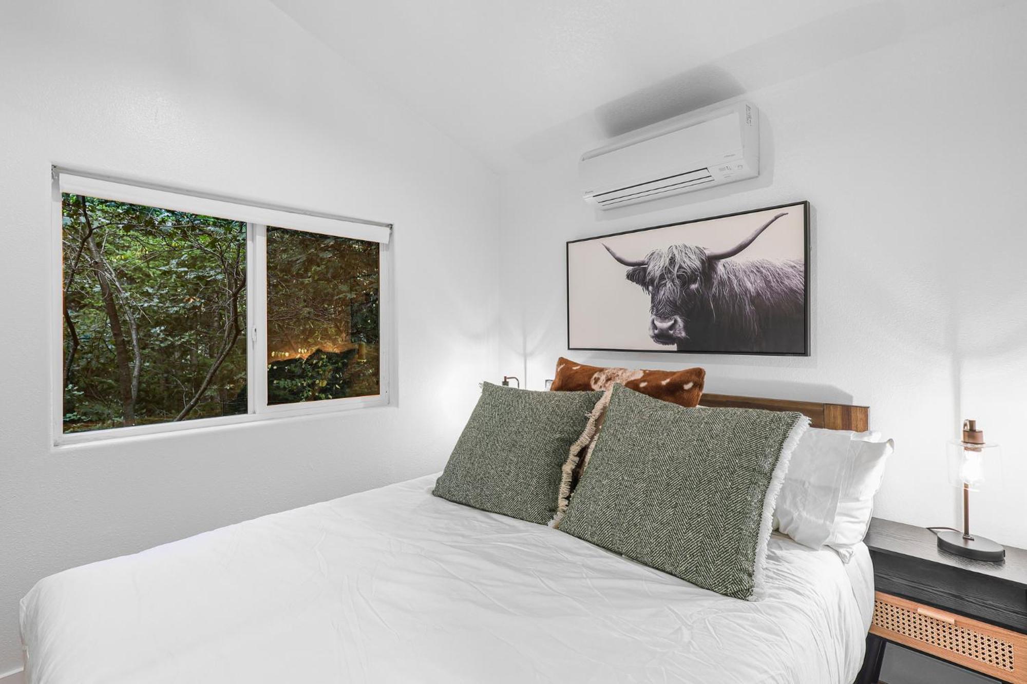 One-Bedroom House photo 3