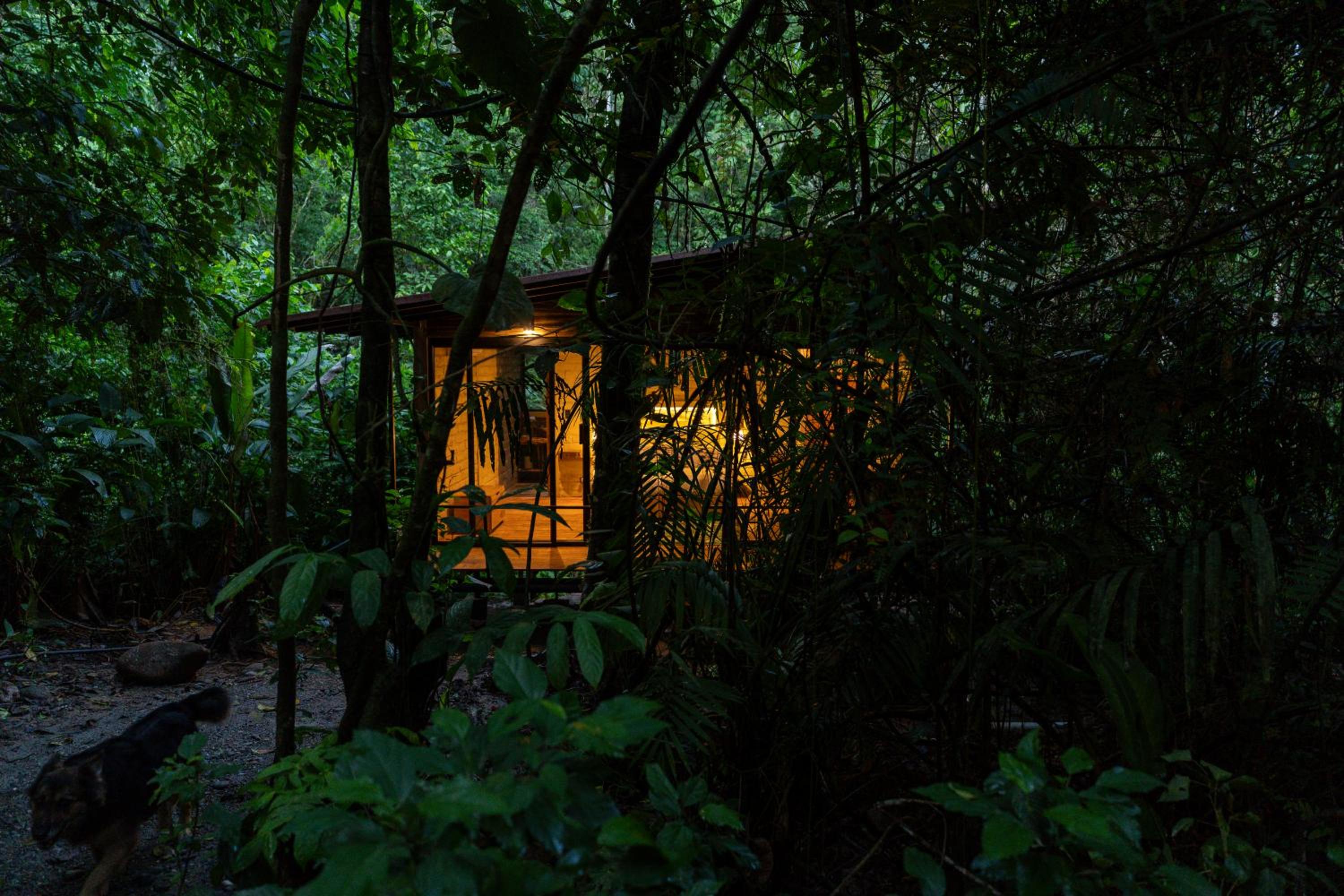Suite - Photo 2