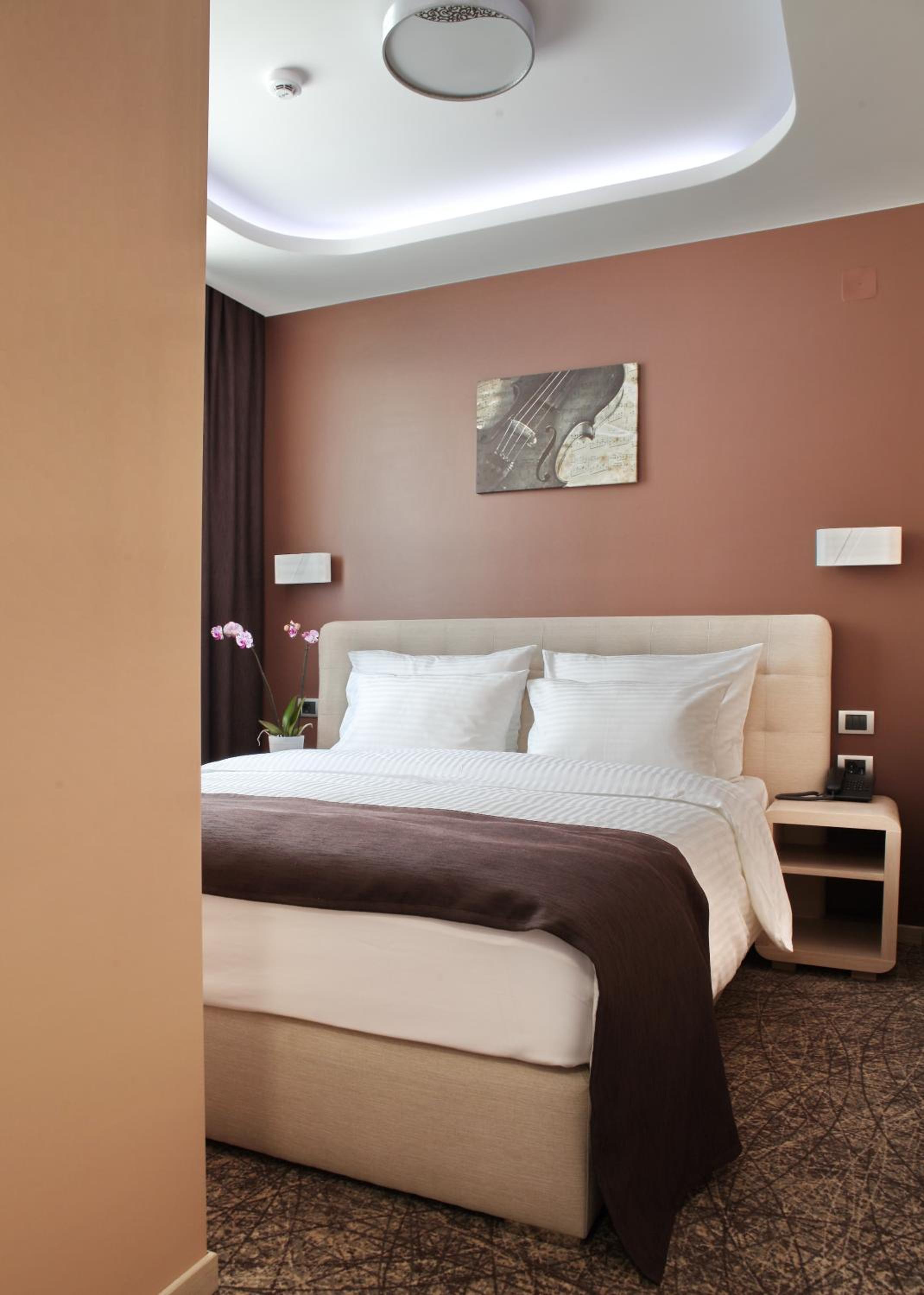 Suite - Photo 2