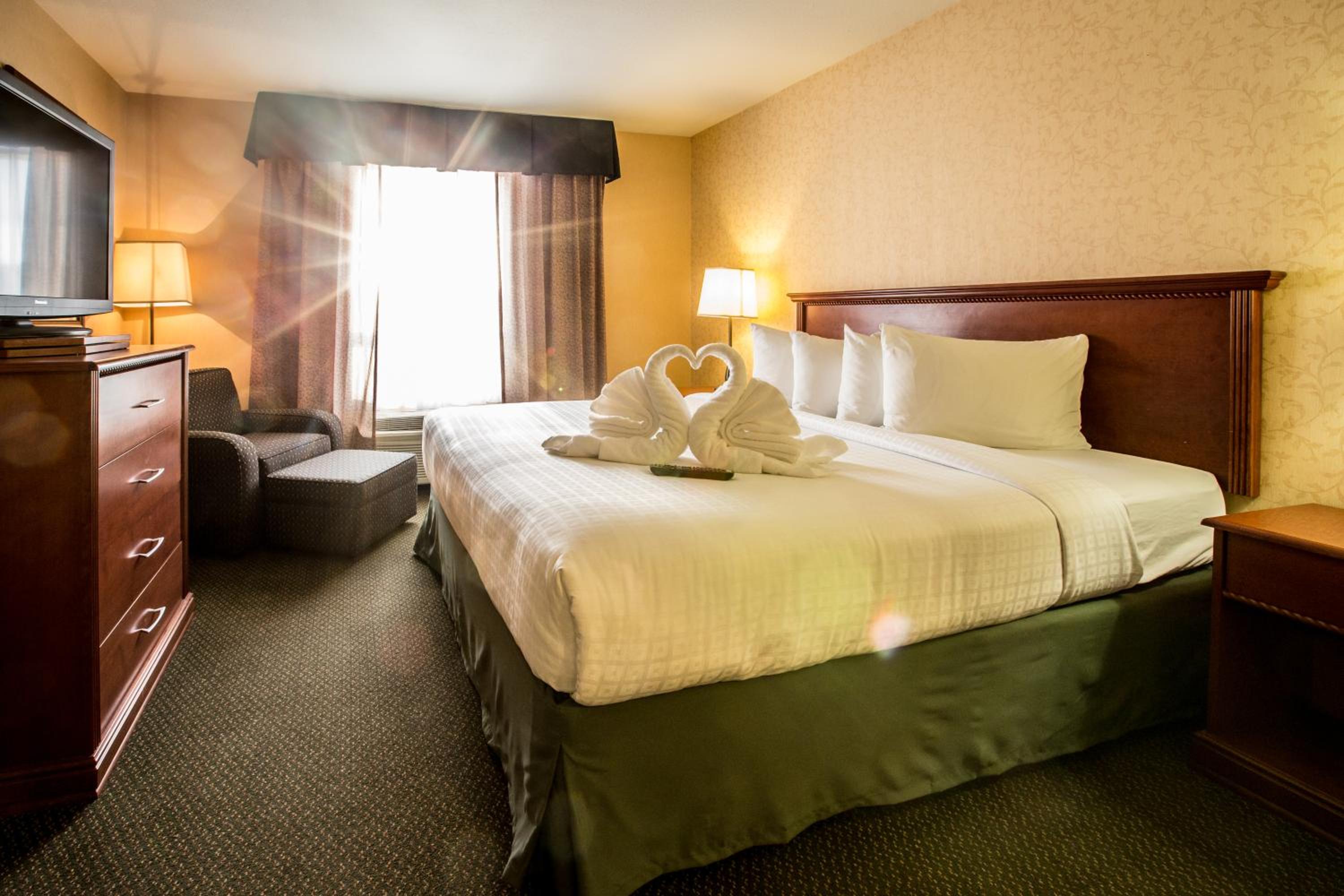 Superior Queen Room