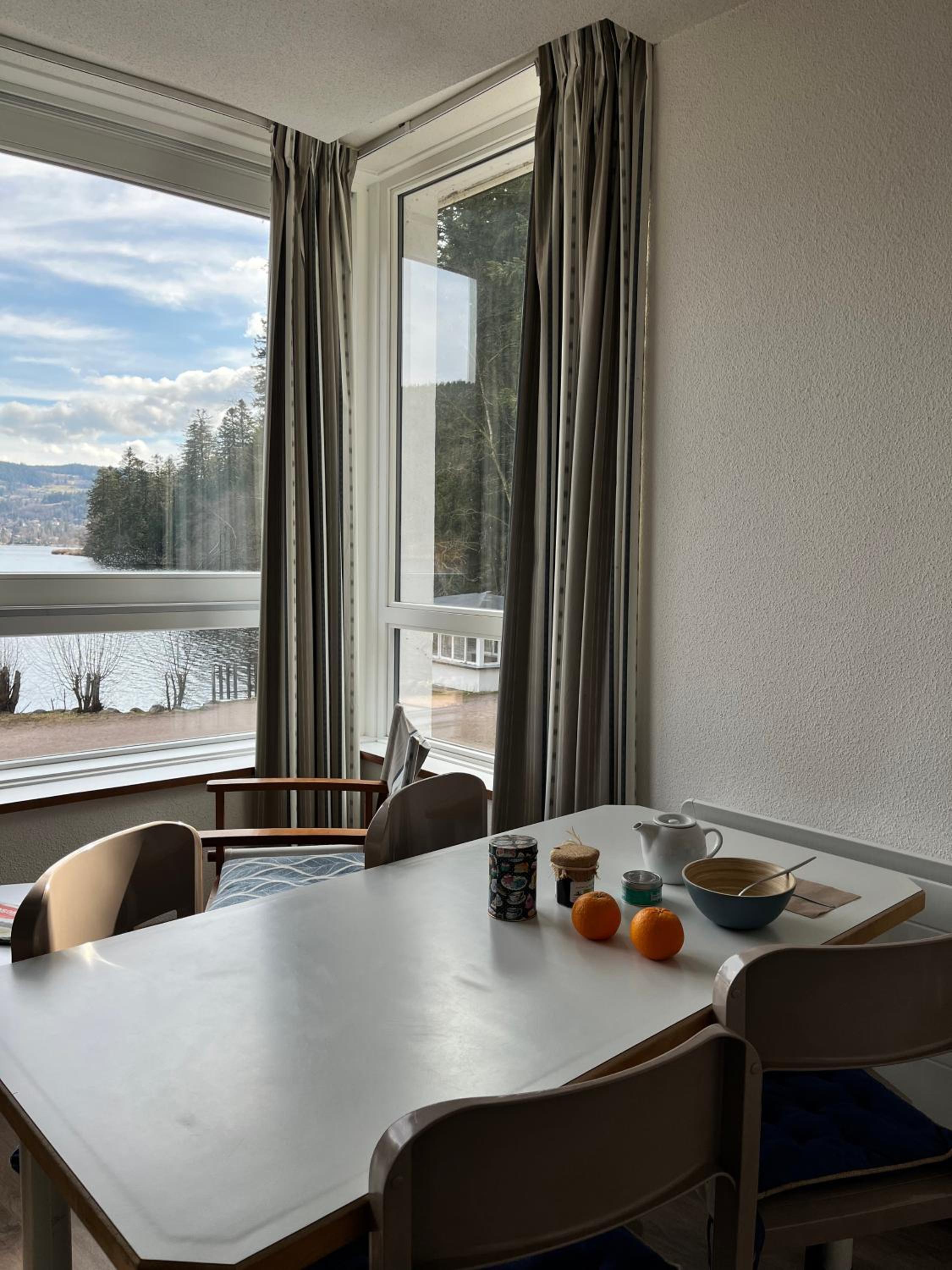 Studio Comfort 3 people with Lake & Forest view  photo 3