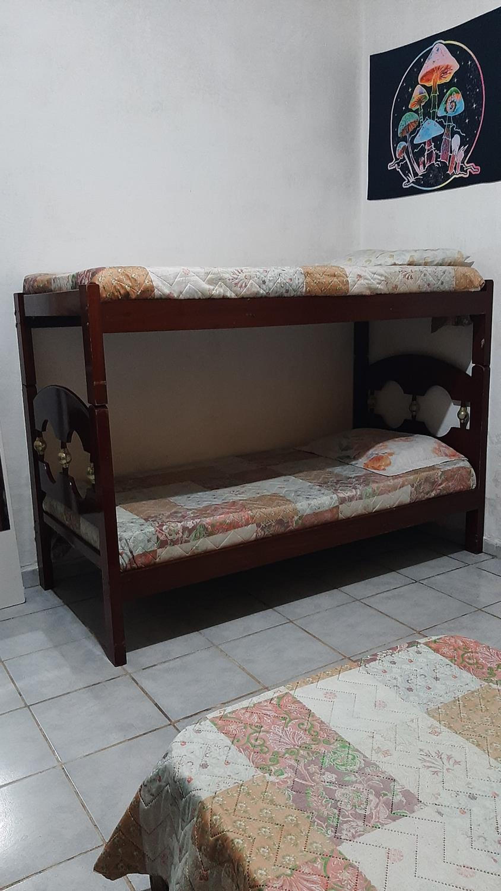 Single Bed in Mixed Dormitory Room photo 3