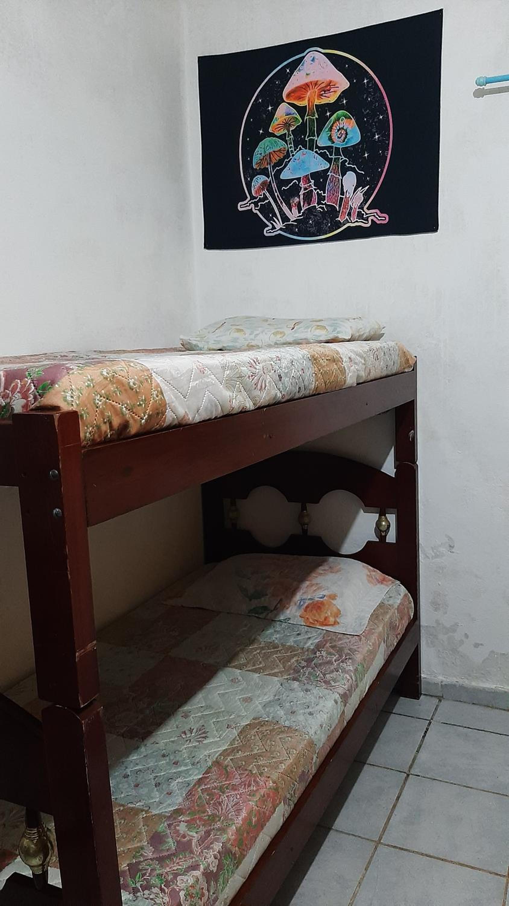 Single Bed in Mixed Dormitory Room photo 1