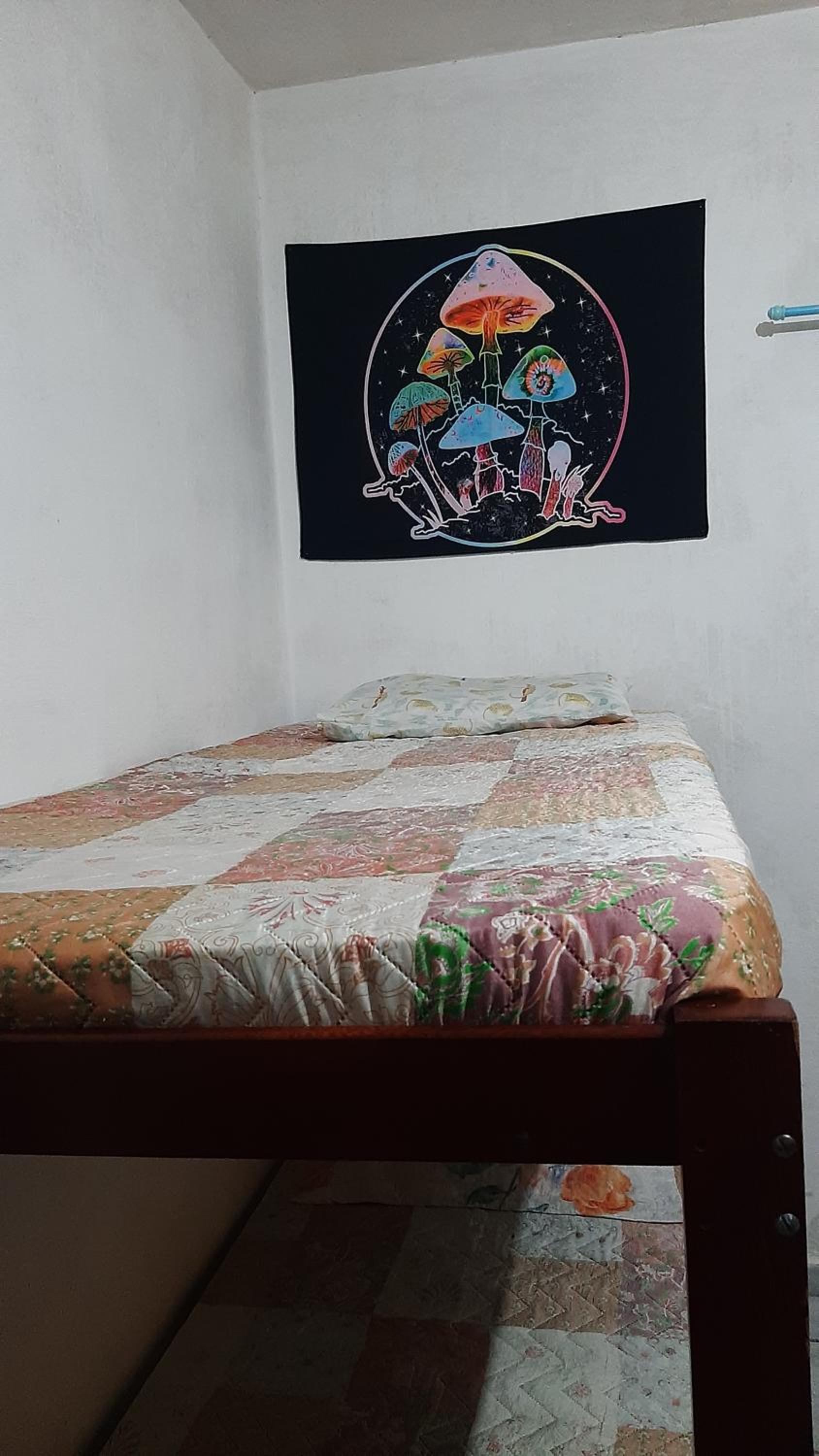 Single Bed in Mixed Dormitory Room photo 2
