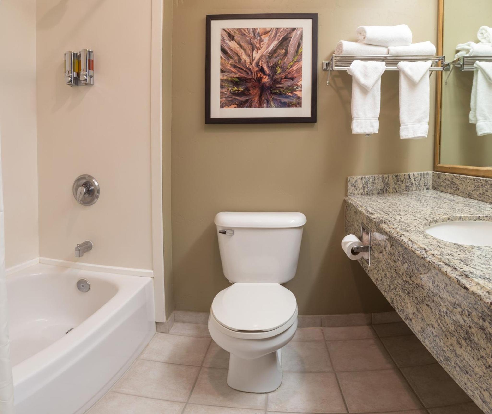 Deluxe King Room photo 3