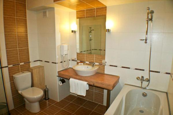 One-Bedroom Suite - Photo 5