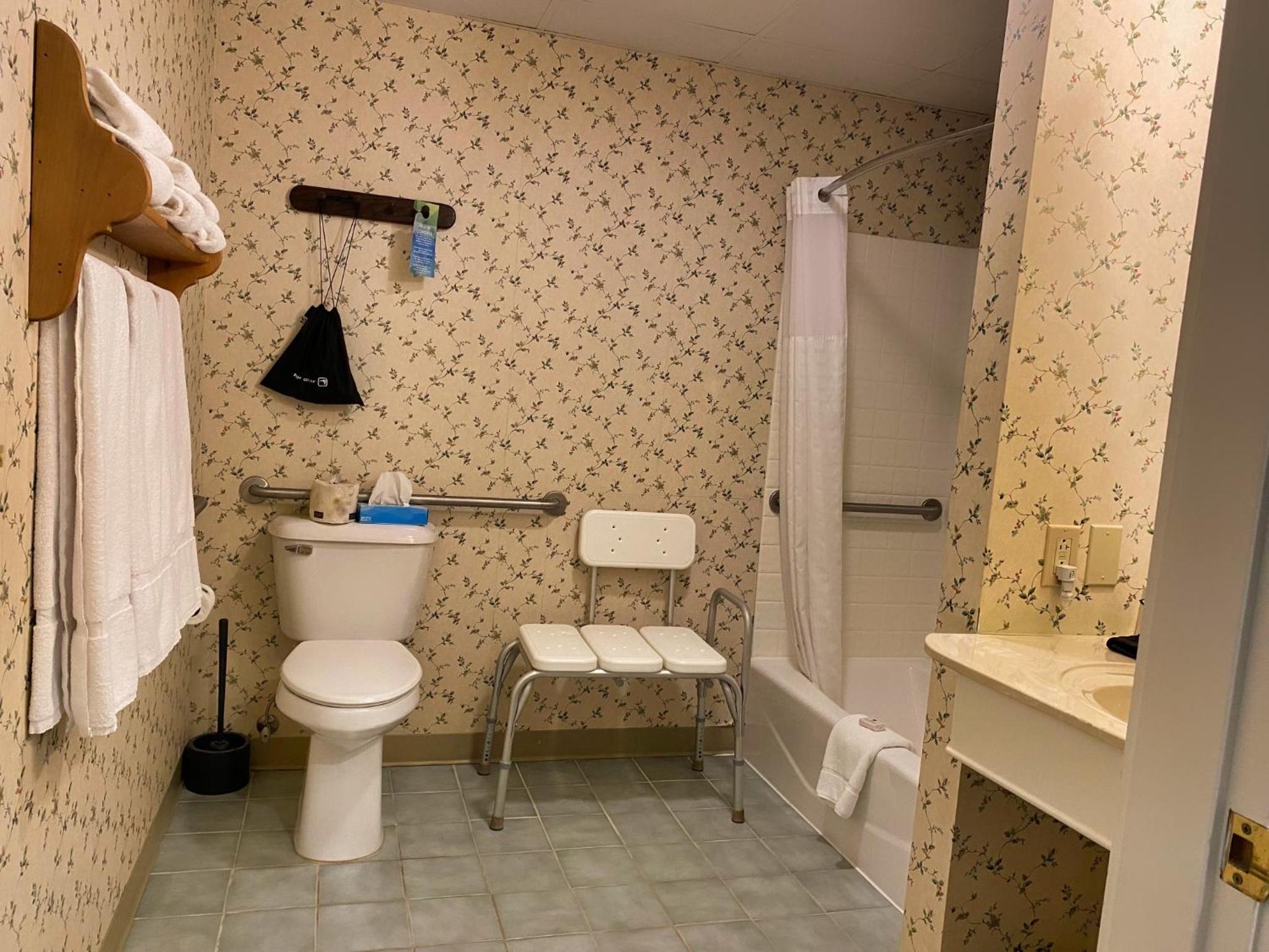 Deluxe King Suite photo 1