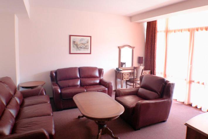 One-Bedroom Suite - Photo 6