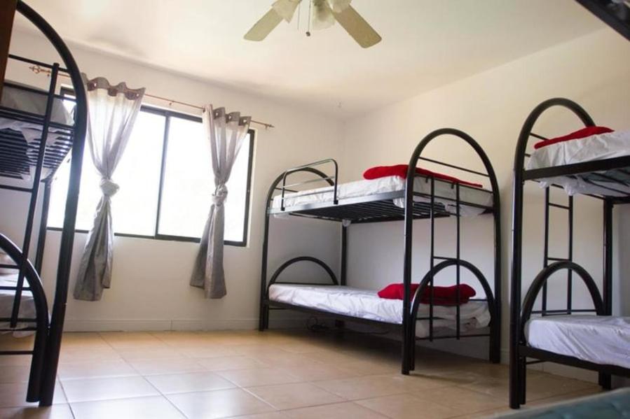 8-Bed Mixed Dormitory Room photo 2
