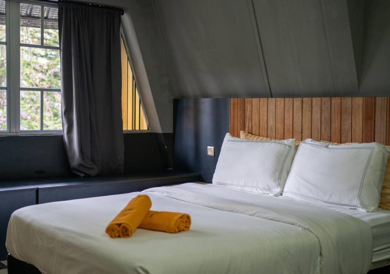 Executive Queen Room with Two Queen Beds photo 1
