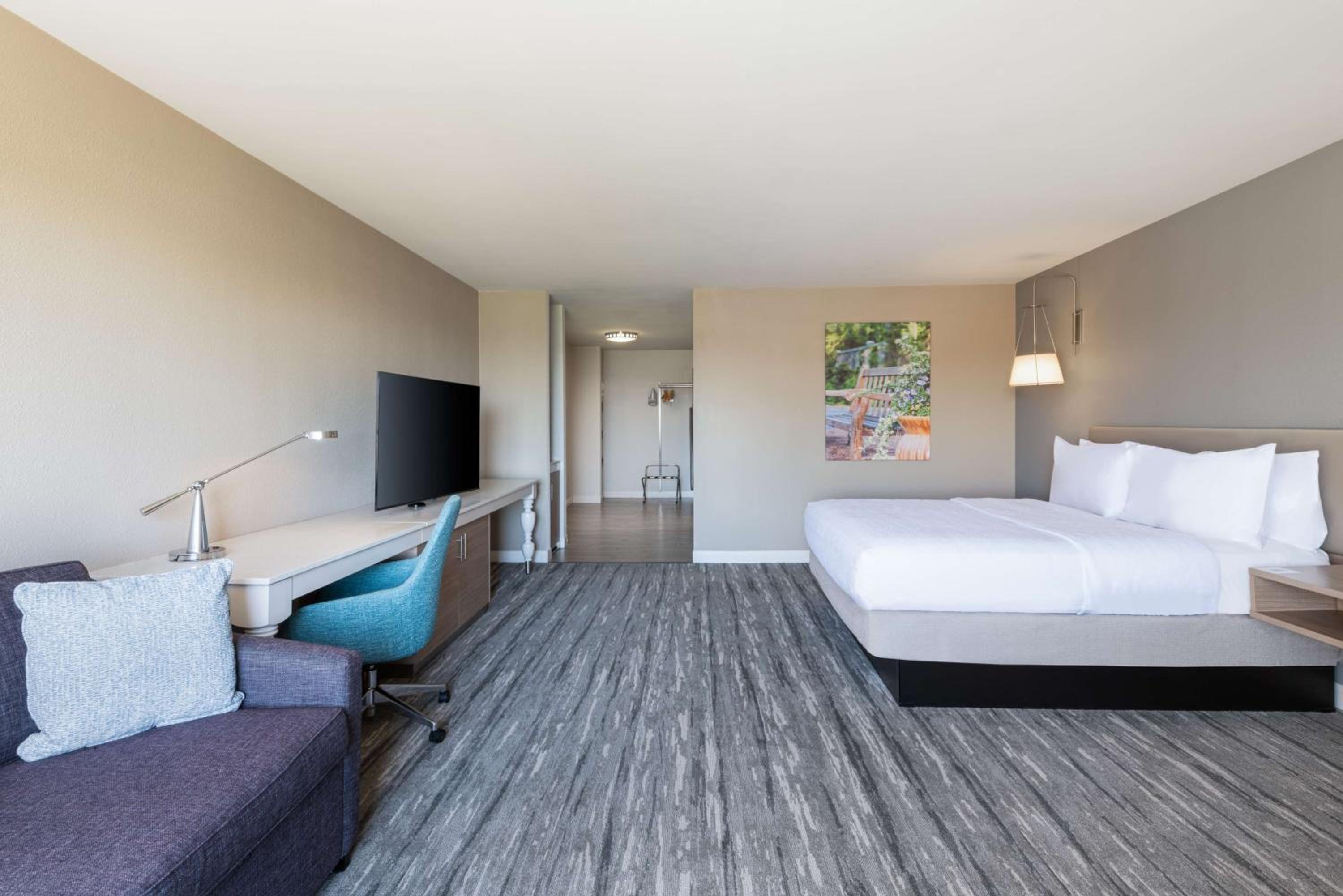 Large King Room with Sofa Bed - Photo 6
