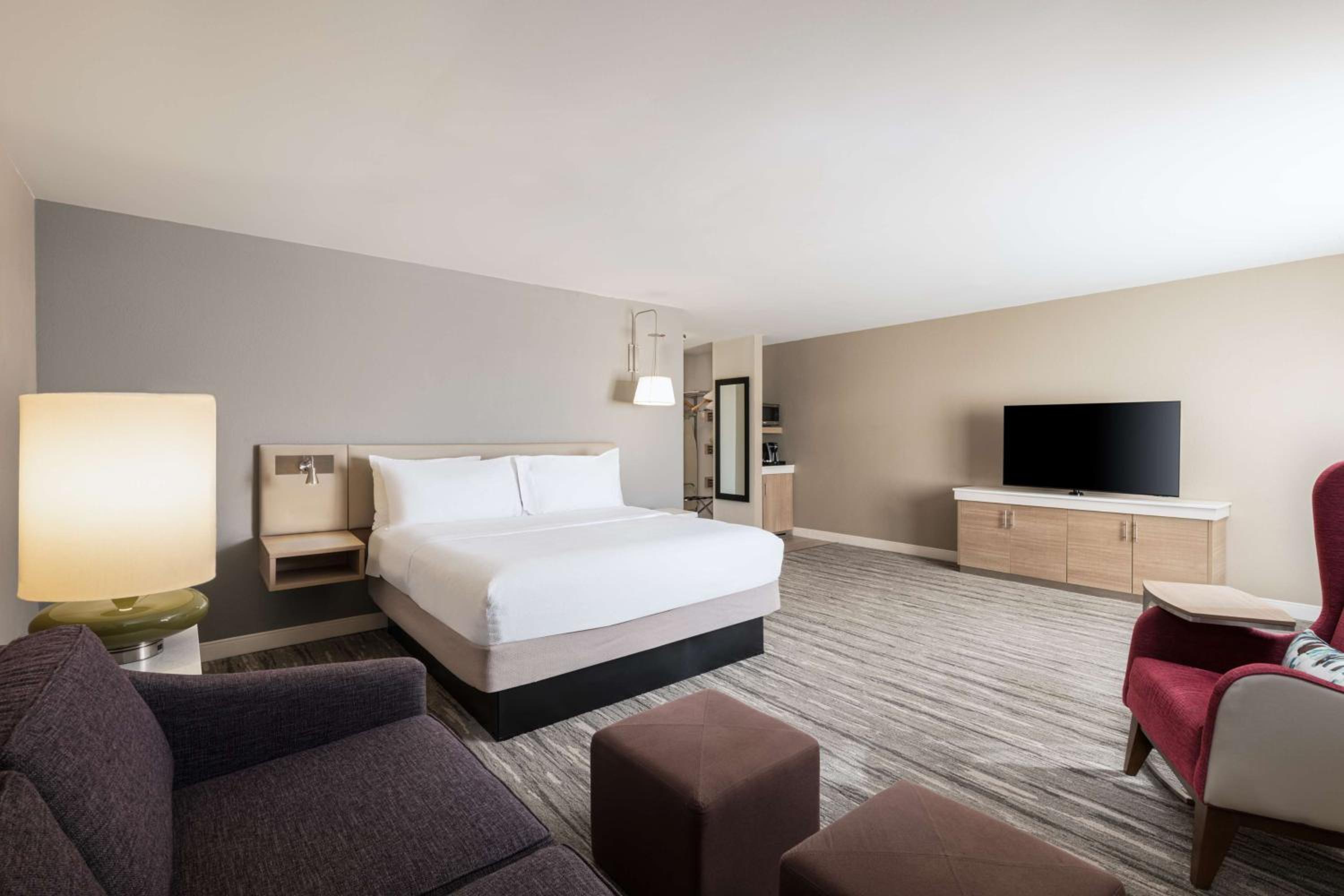 Large King Room with Sofa Bed - Photo 8