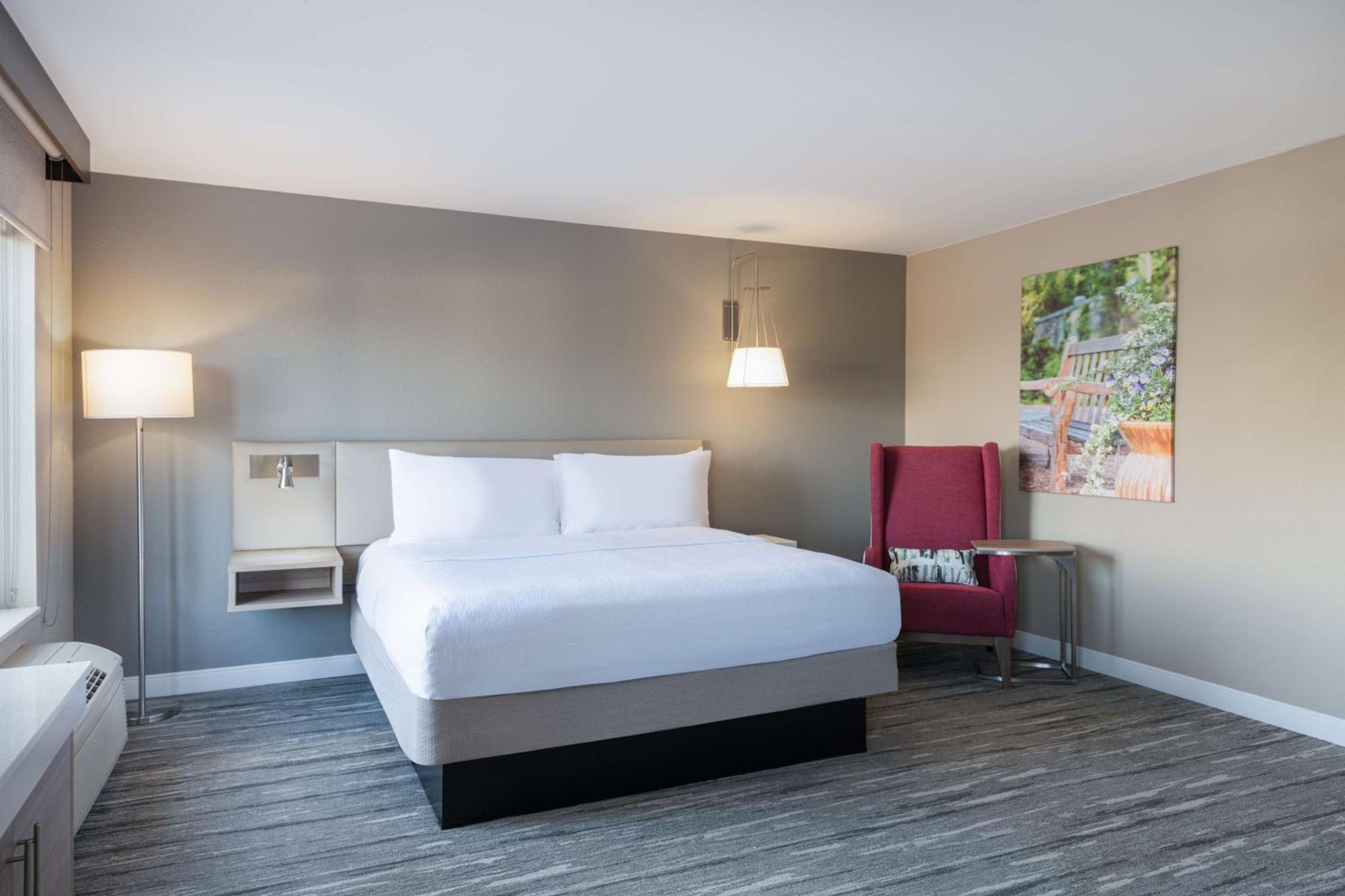 Large King Room with Sofa Bed - Photo 10