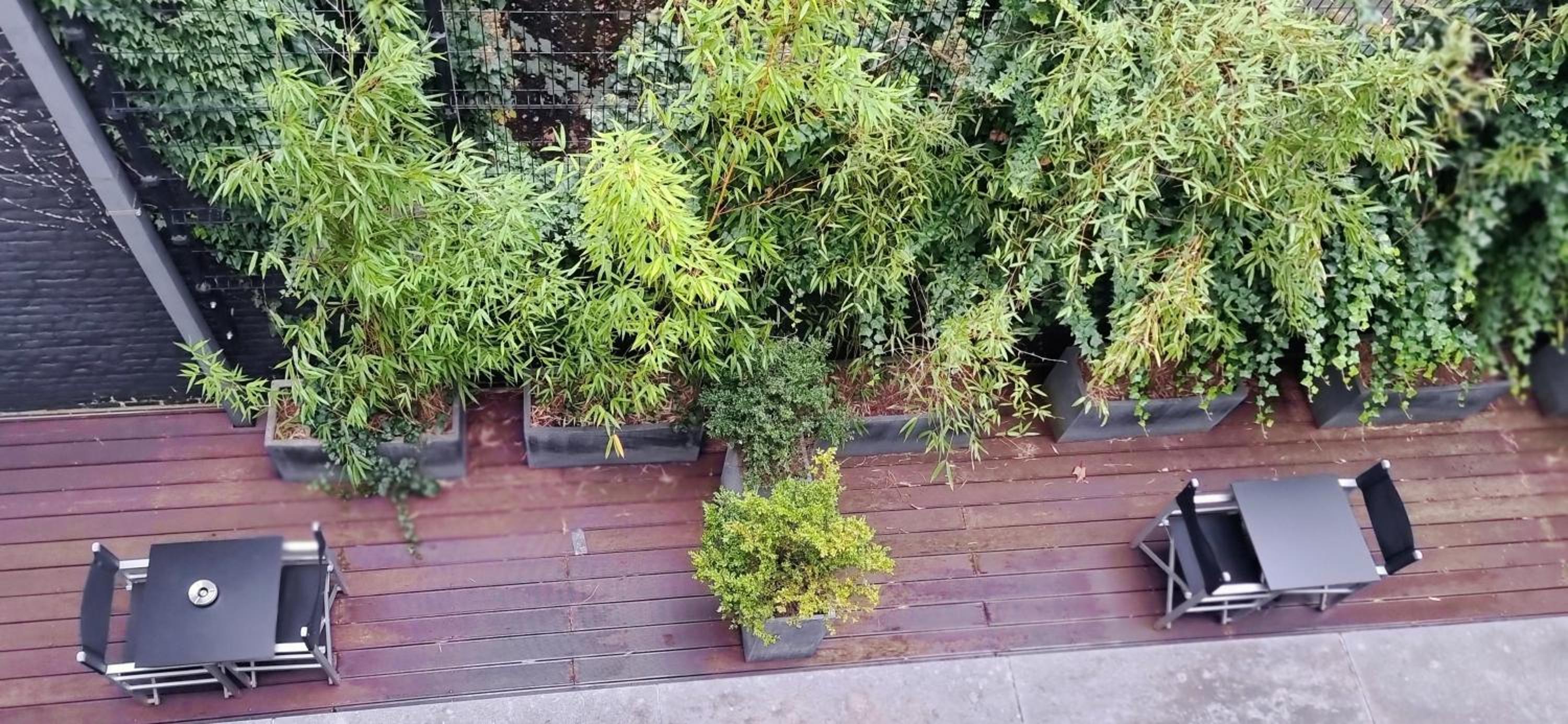 Quadruple Room with Balcony photo 1