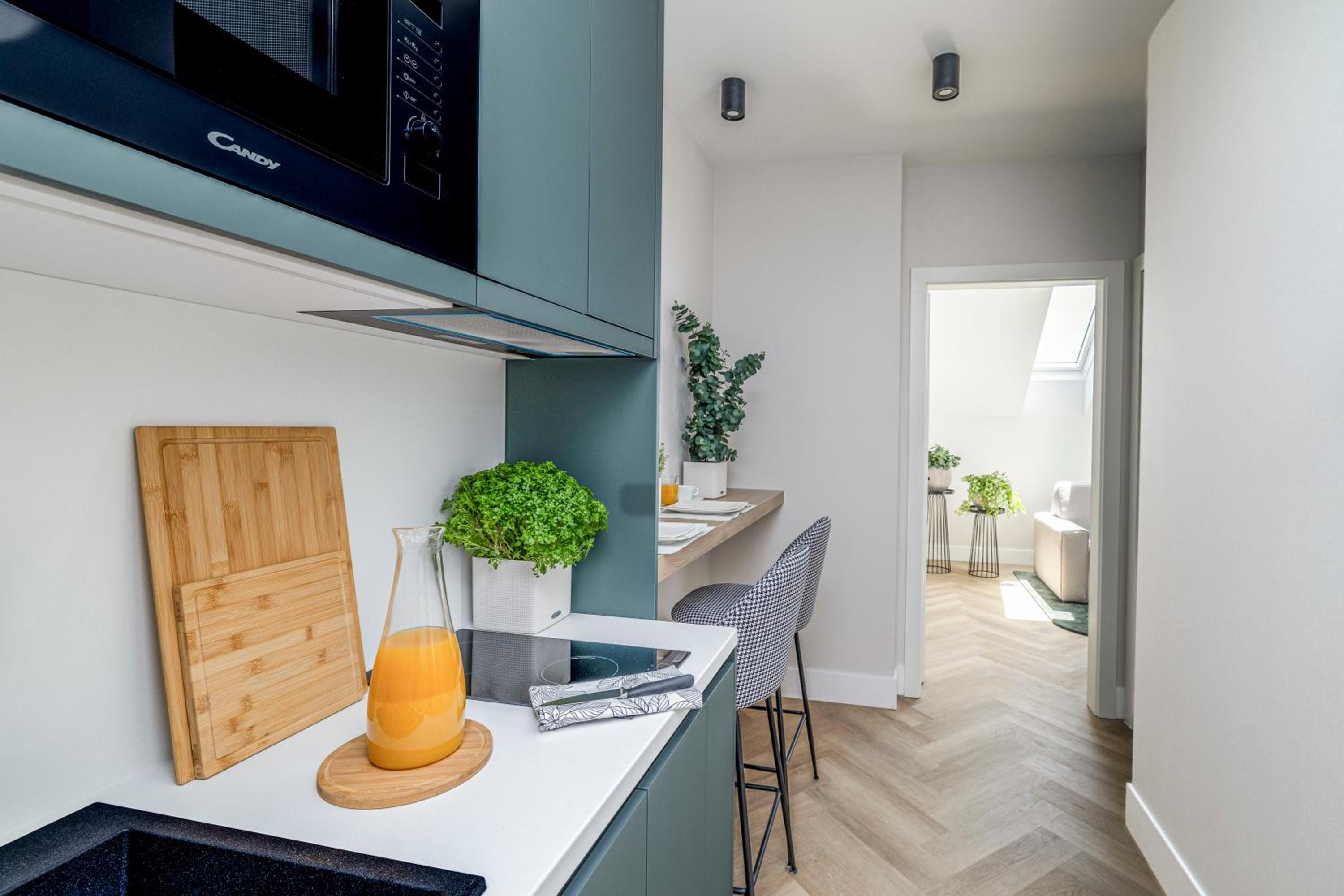 One-bedroom Loft Apartment