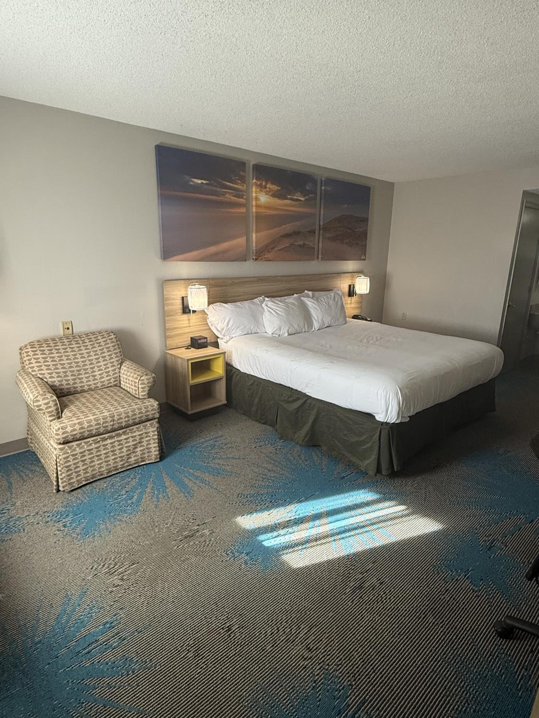 King Room - Non-Smoking - Photo 6
