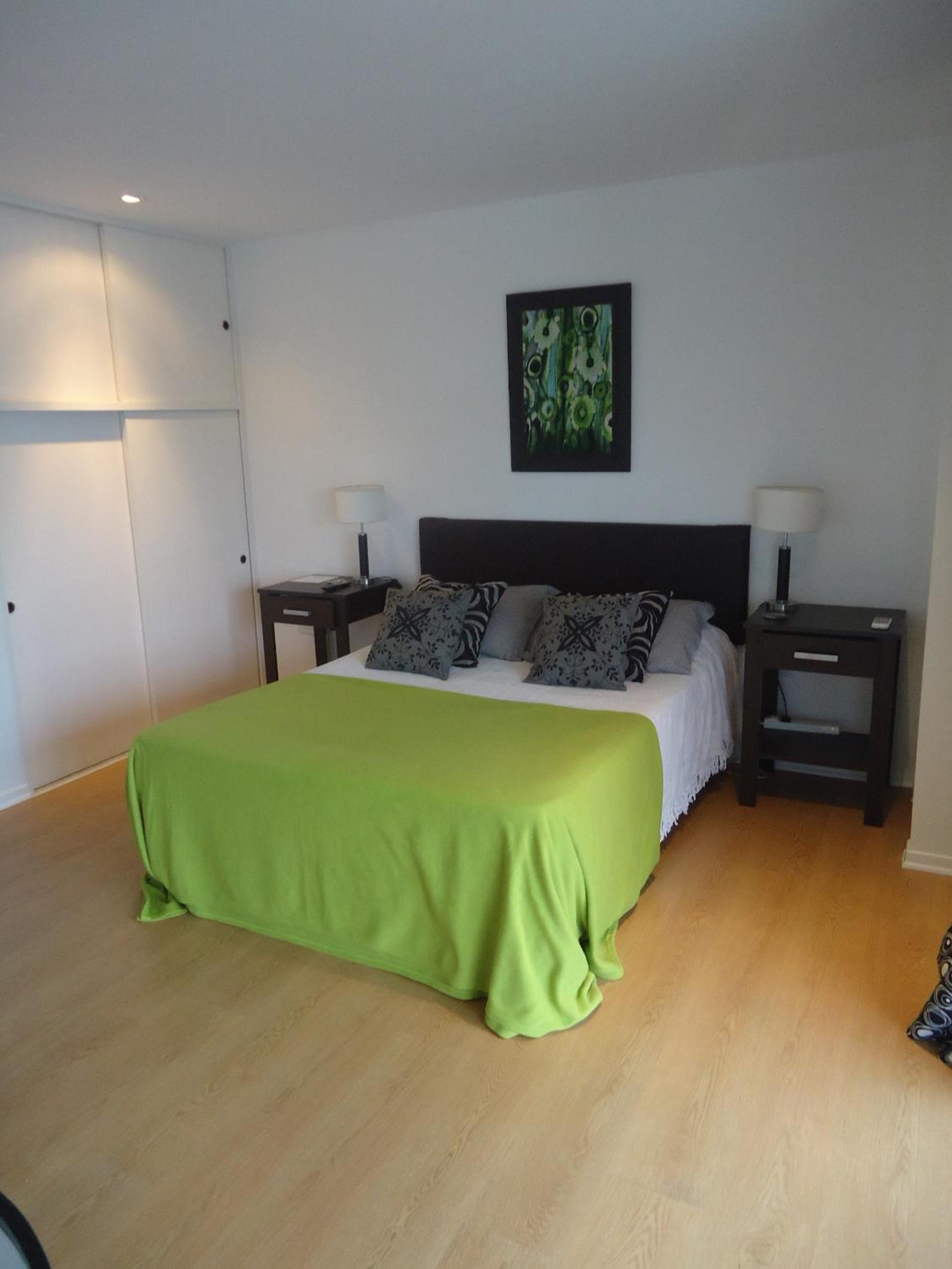 Duplex Apartment photo 2