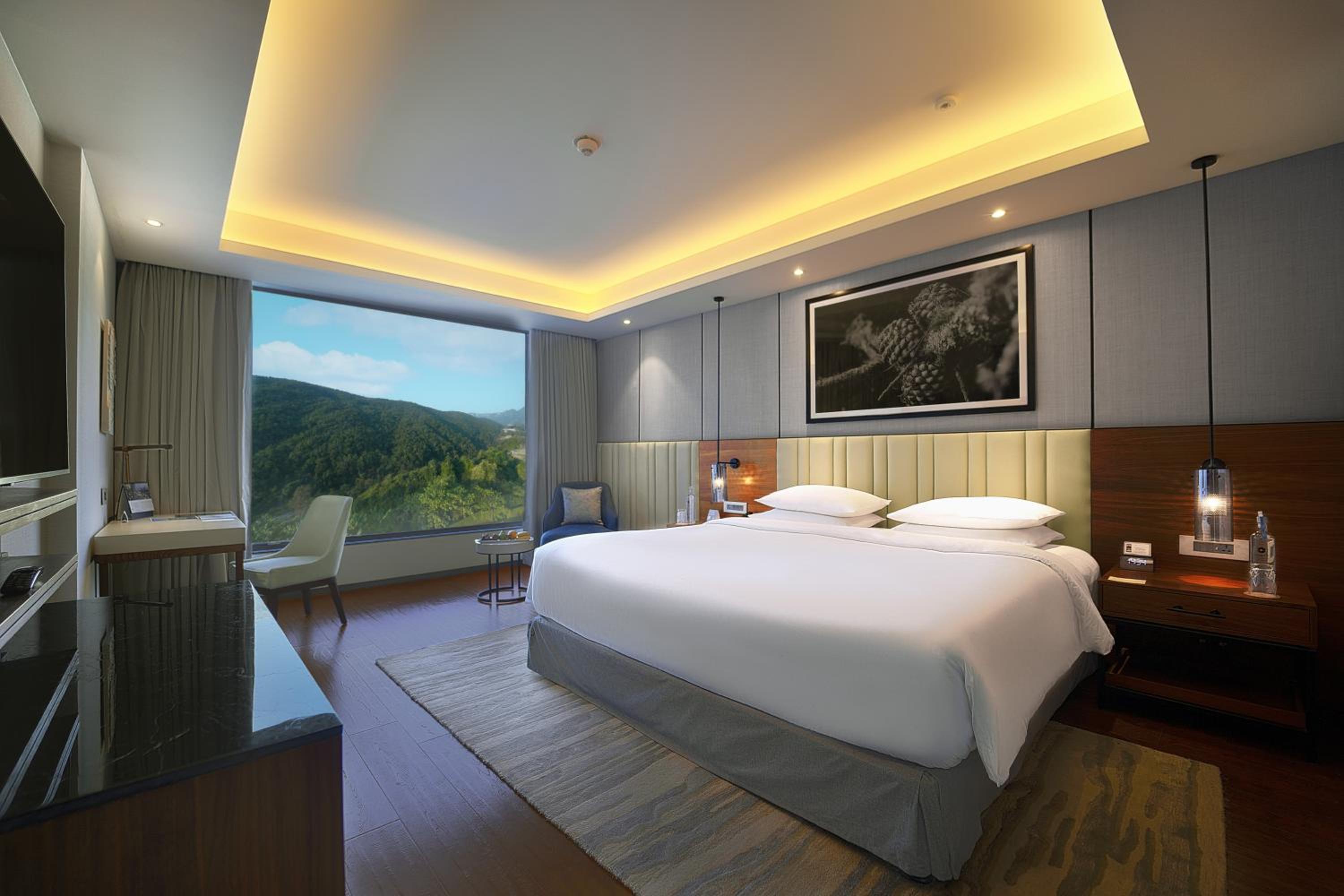 Deluxe Suite With Bathtub photo