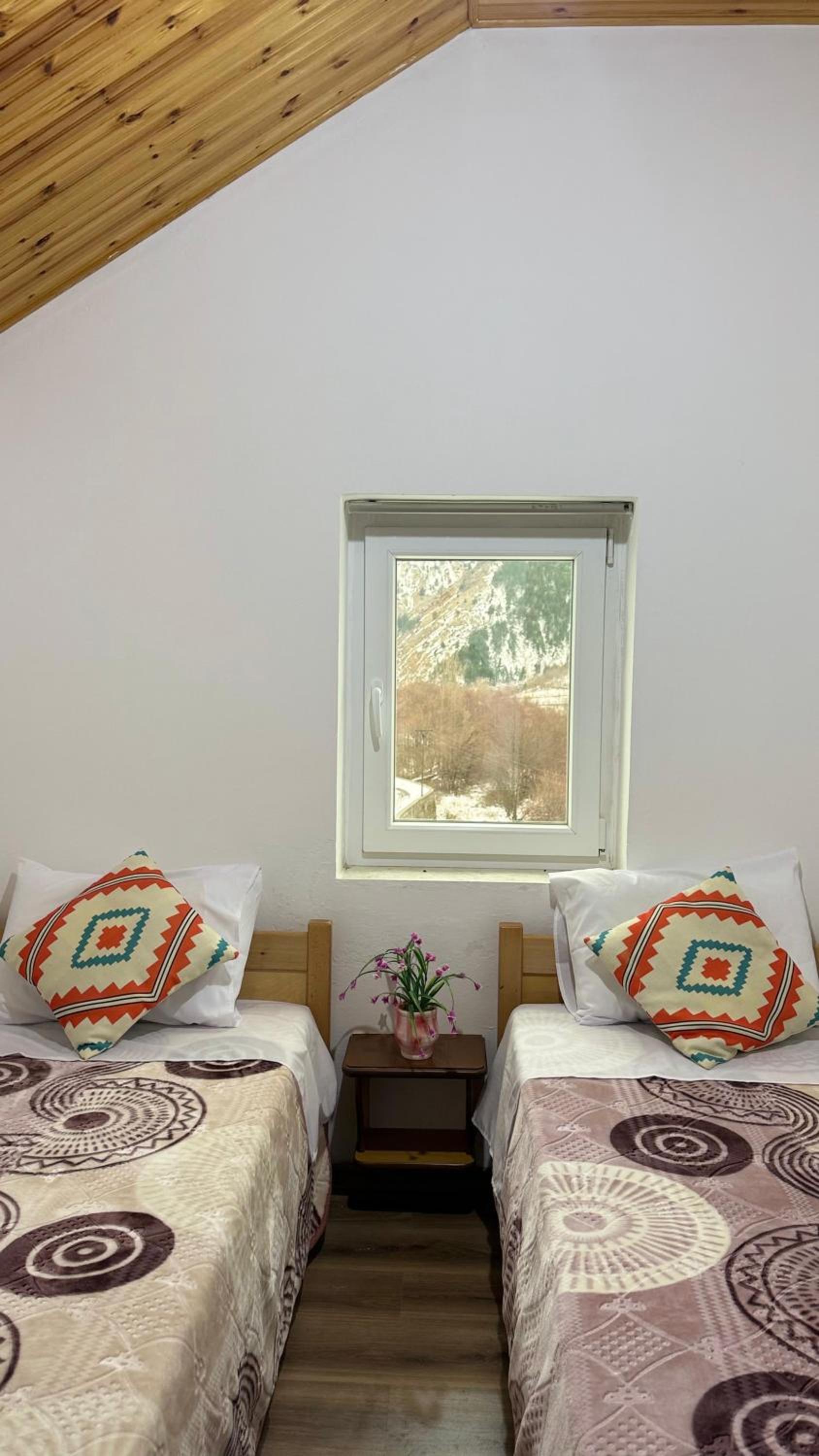 Deluxe Twin Room photo 3
