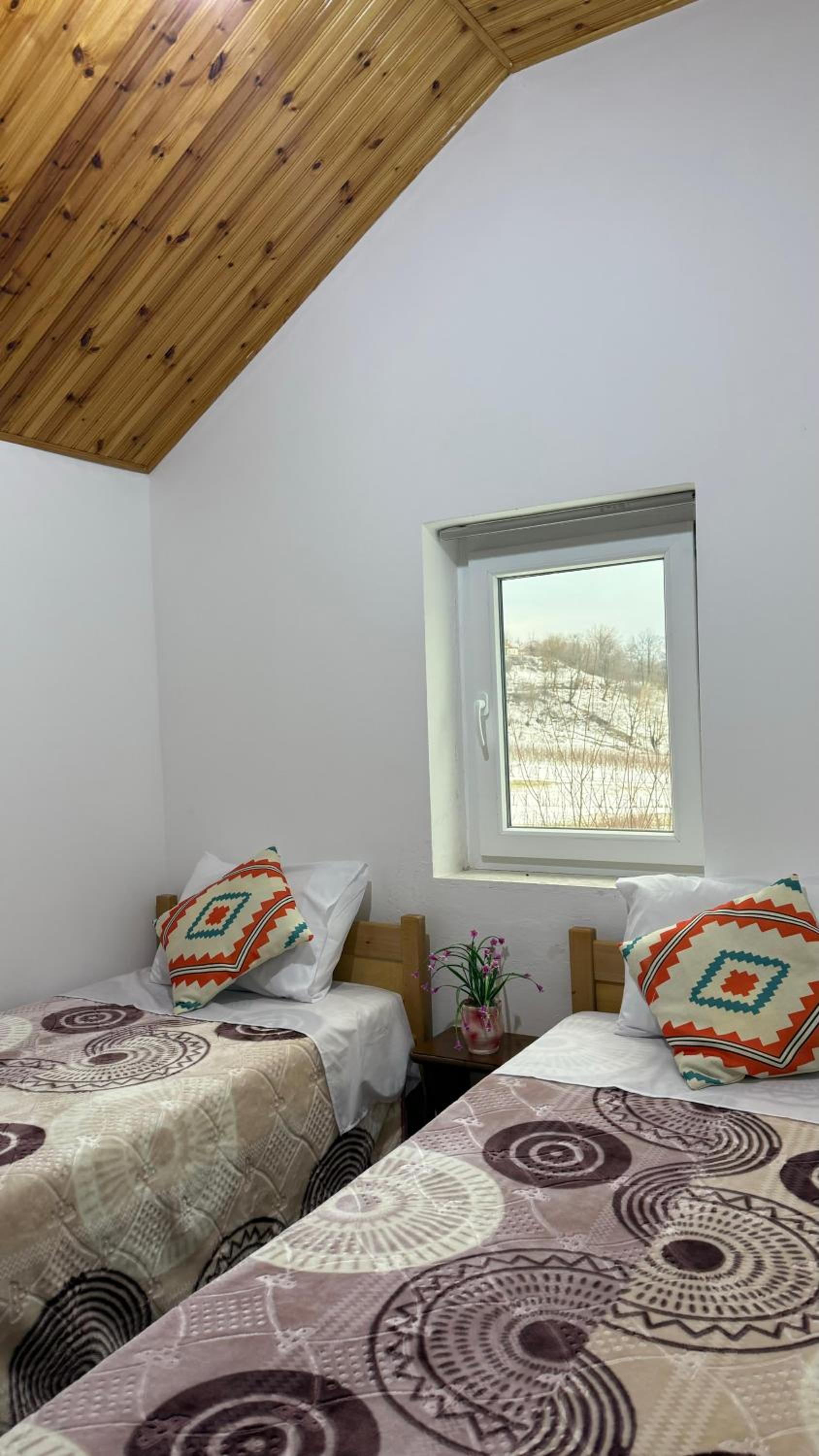 Deluxe Twin Room photo 1