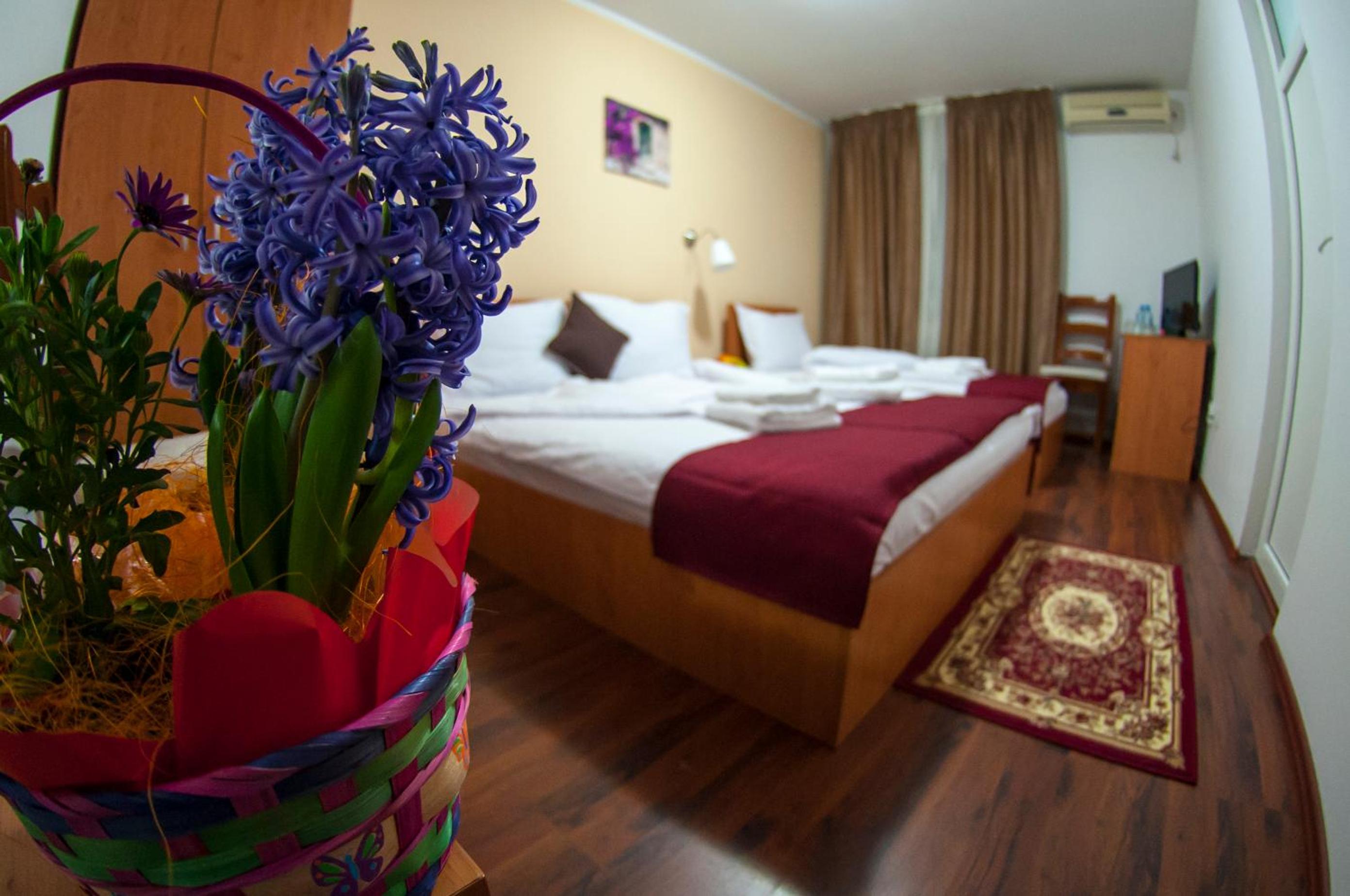 Triple Room - Photo 9