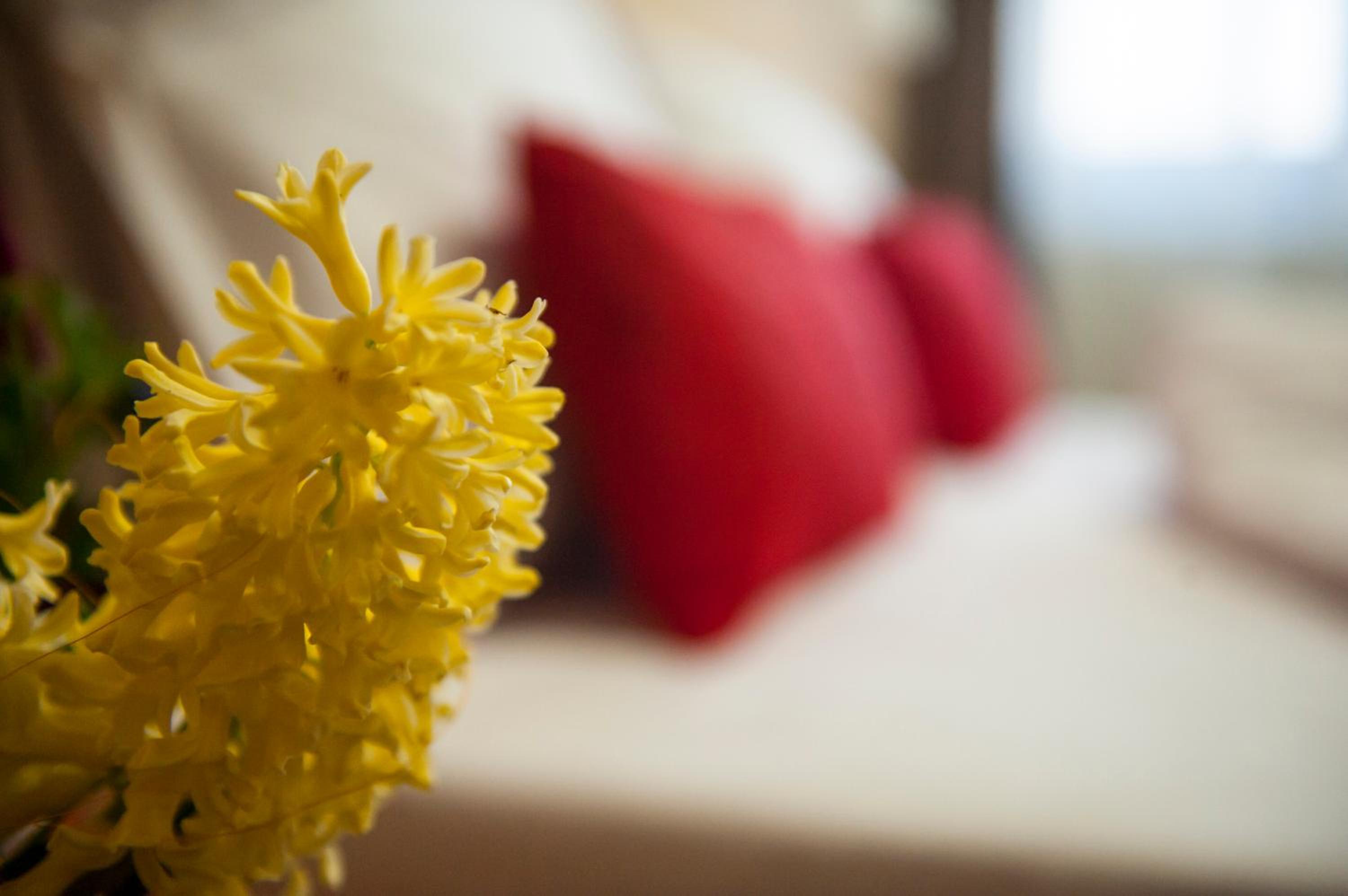 Double Room - Photo 7
