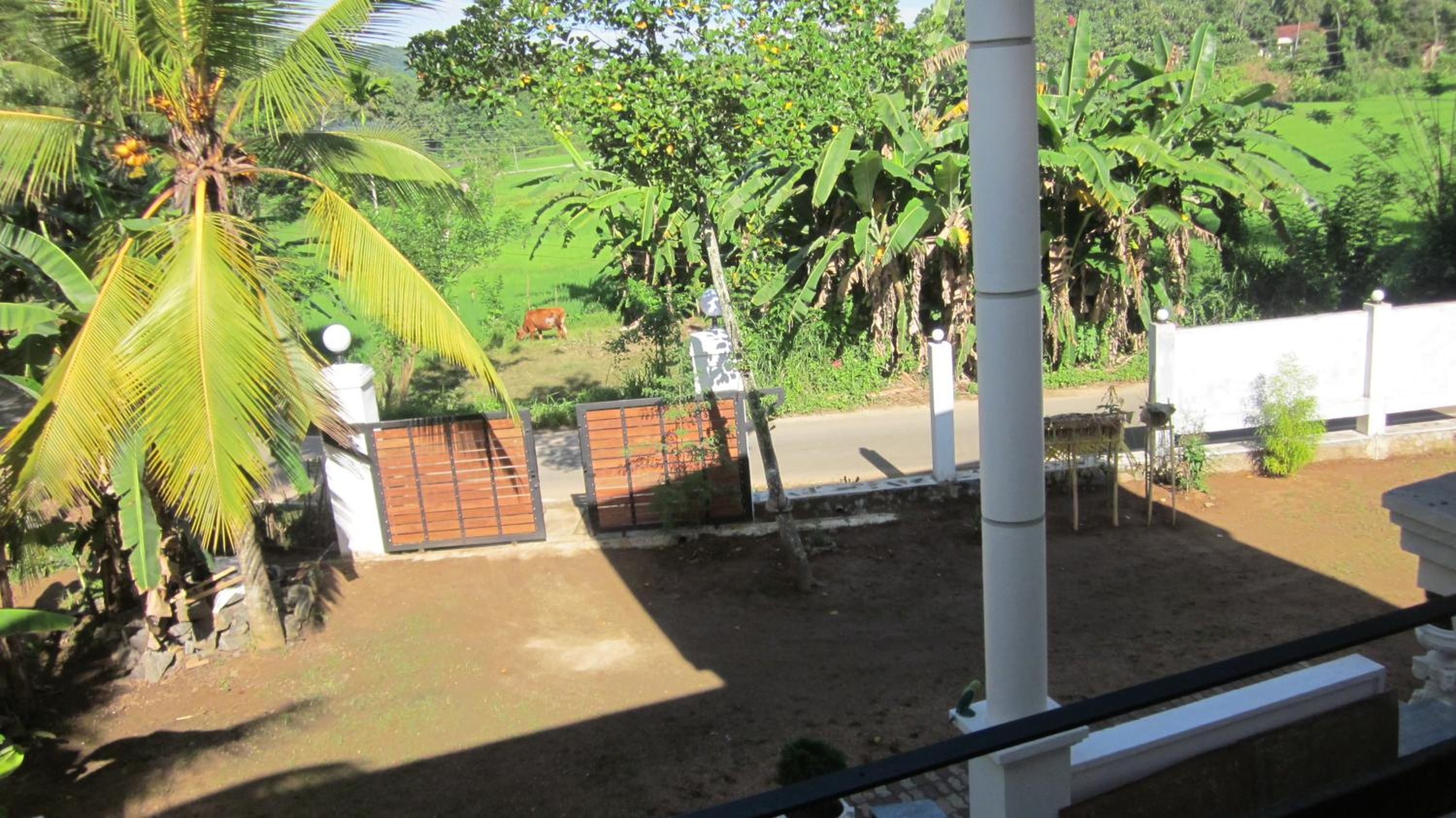 Double Room With Balcony photo 3