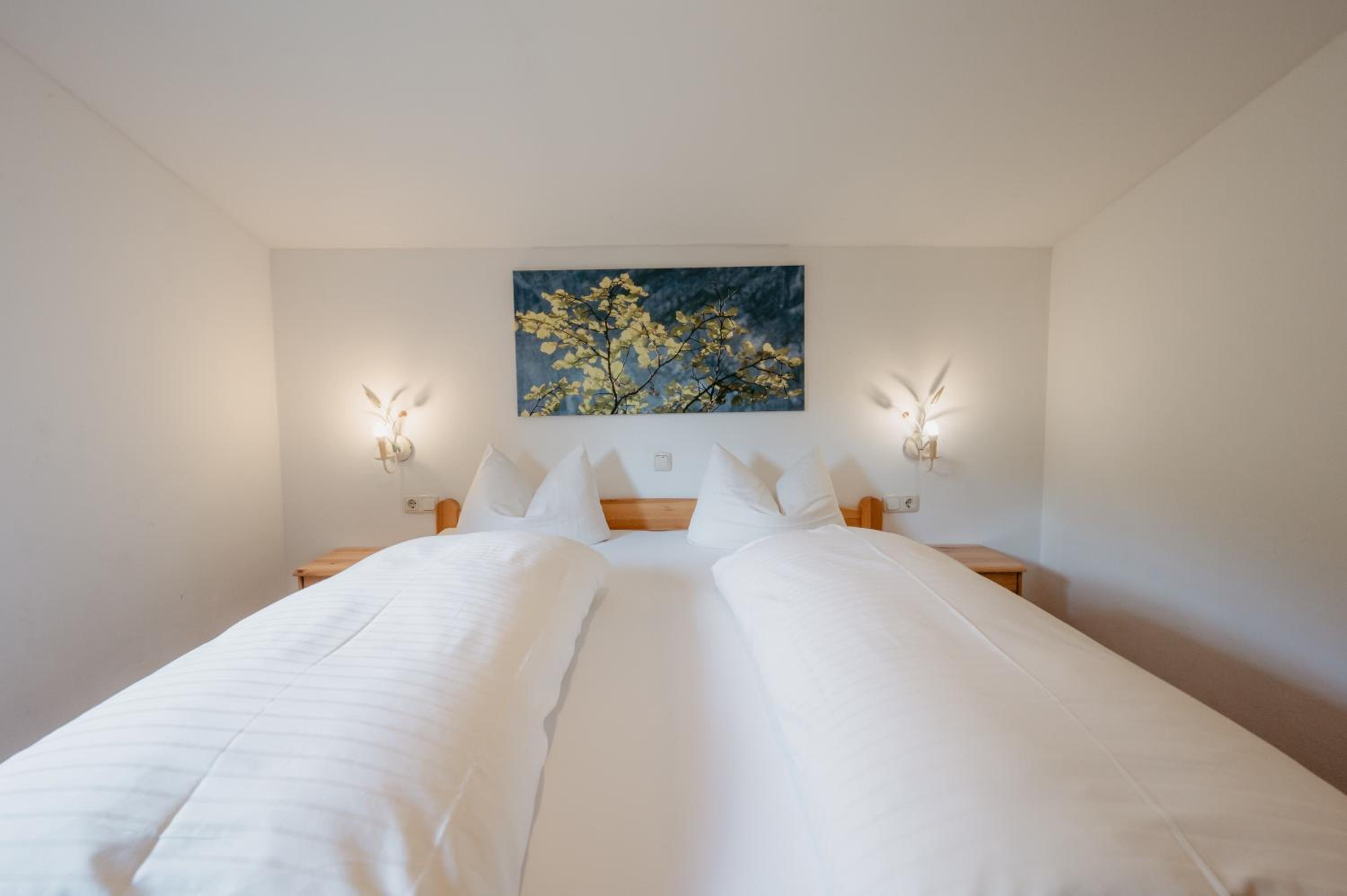 Budget Double or Twin Room photo 3