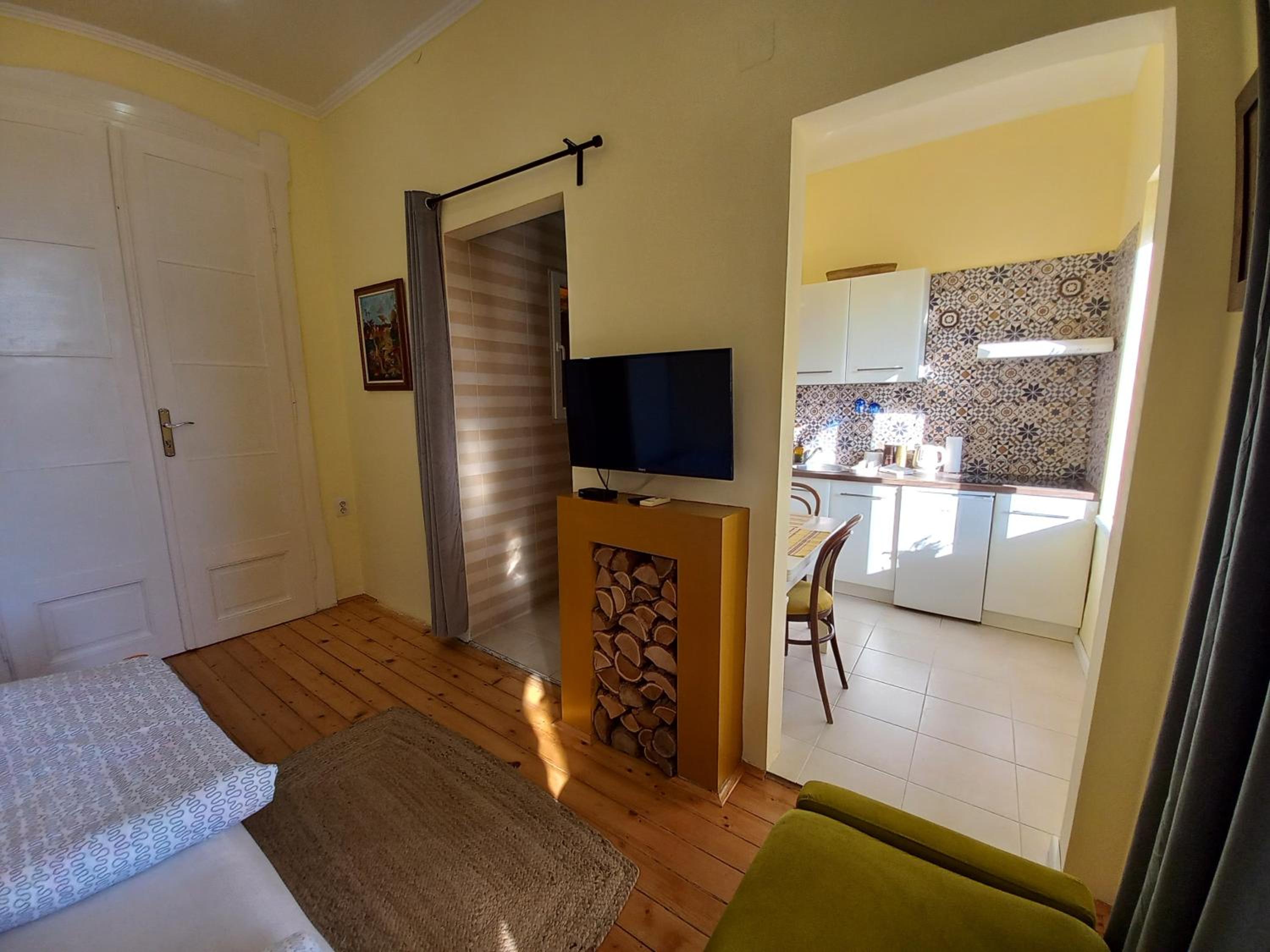 Studio with Terrace photo 3